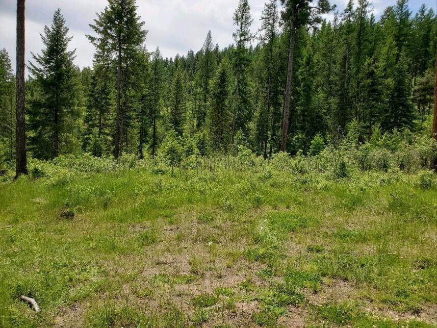 16. Land for Sale at 135 Old Hwy 10, St. Regis, Montana 59866 United States