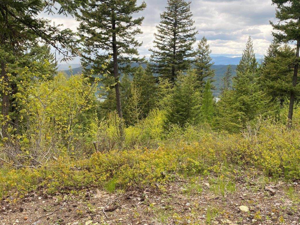 18. Land for Sale at 201 Whitefish Lookout Road, Whitefish, Montana 59937 United States