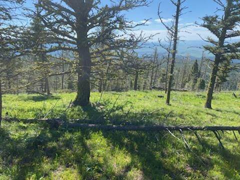Land for Sale at #13 Tract, Acres 200.09 +/-, Helmville, Montana 59843 United States