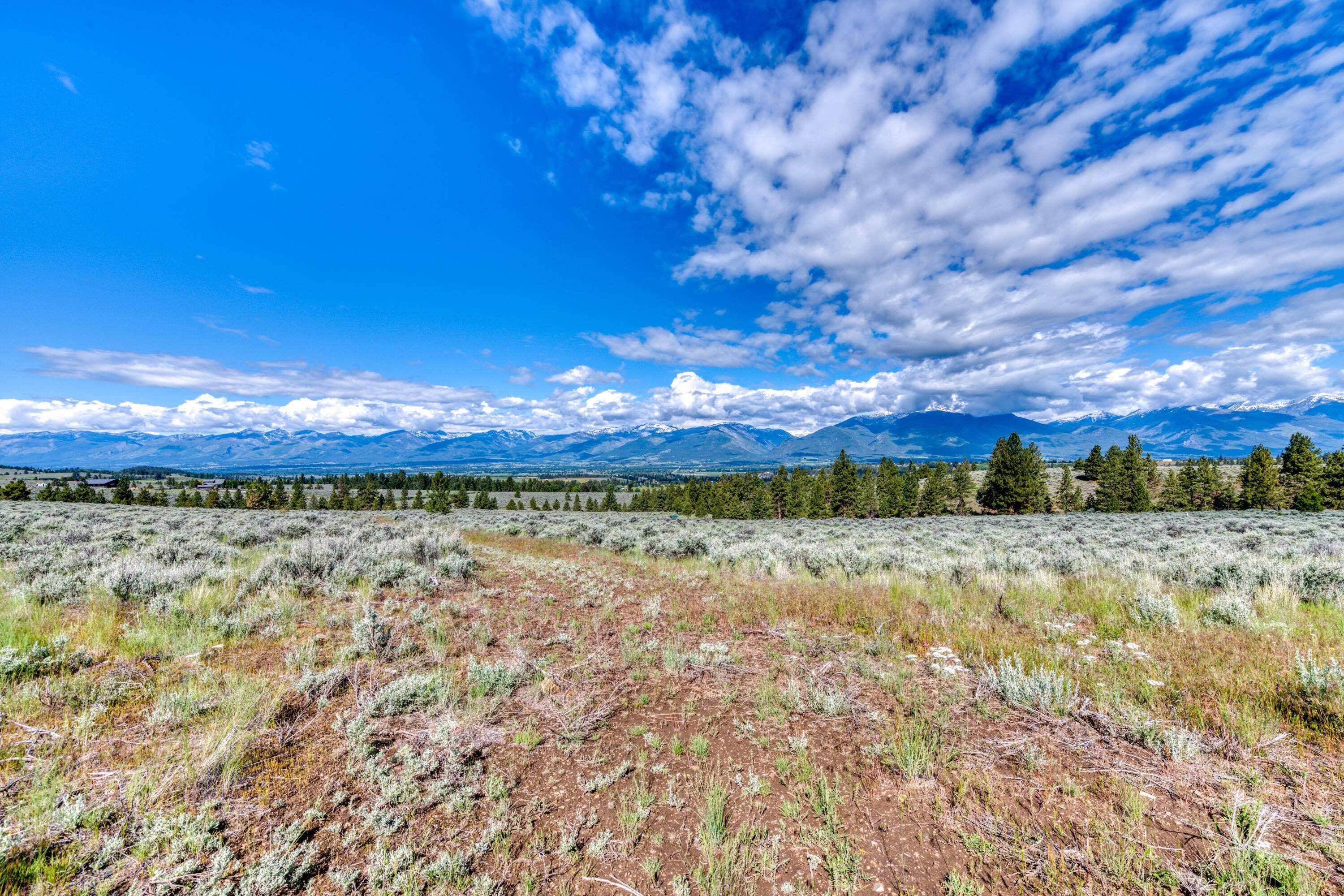 3. Land for Sale at 2545/2549 Wild Sky Road, Stevensville, Montana 59870 United States