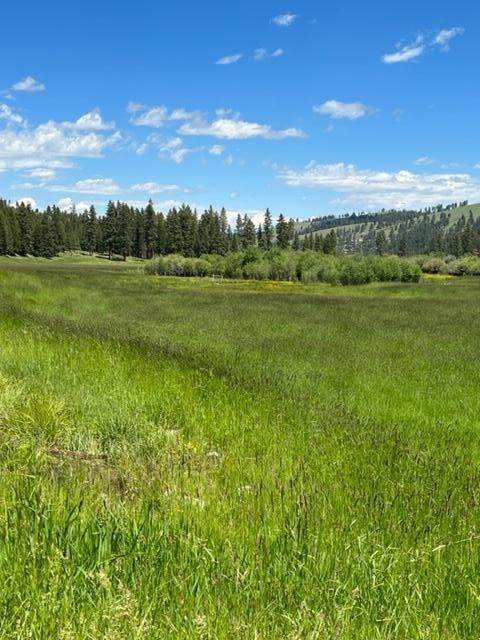 11. Land for Sale at Us Hwy 93, Sula, Montana 59871 United States