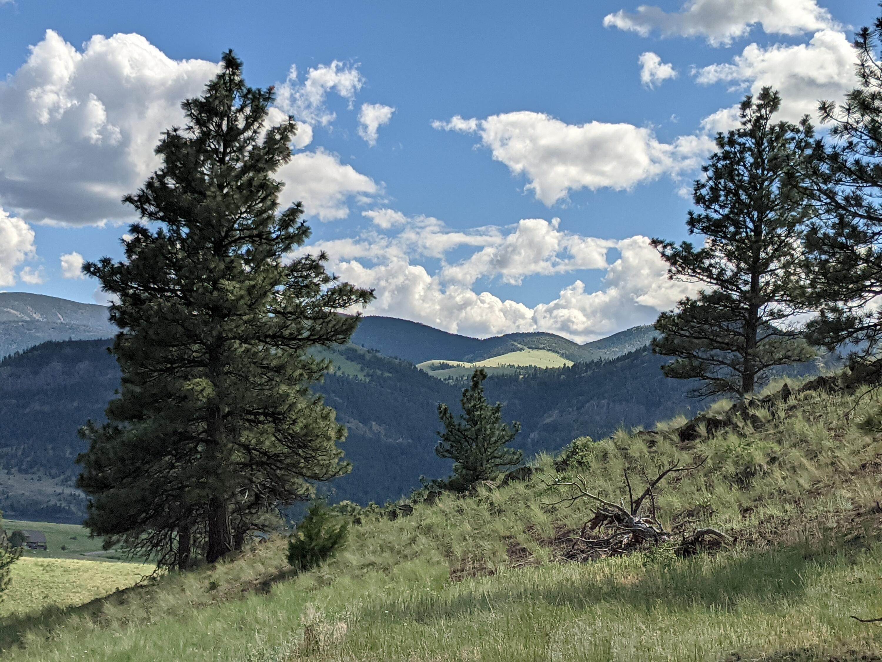 12. Land for Sale at Mtn Lion Gulch, Wolf Creek, Montana 59648 United States