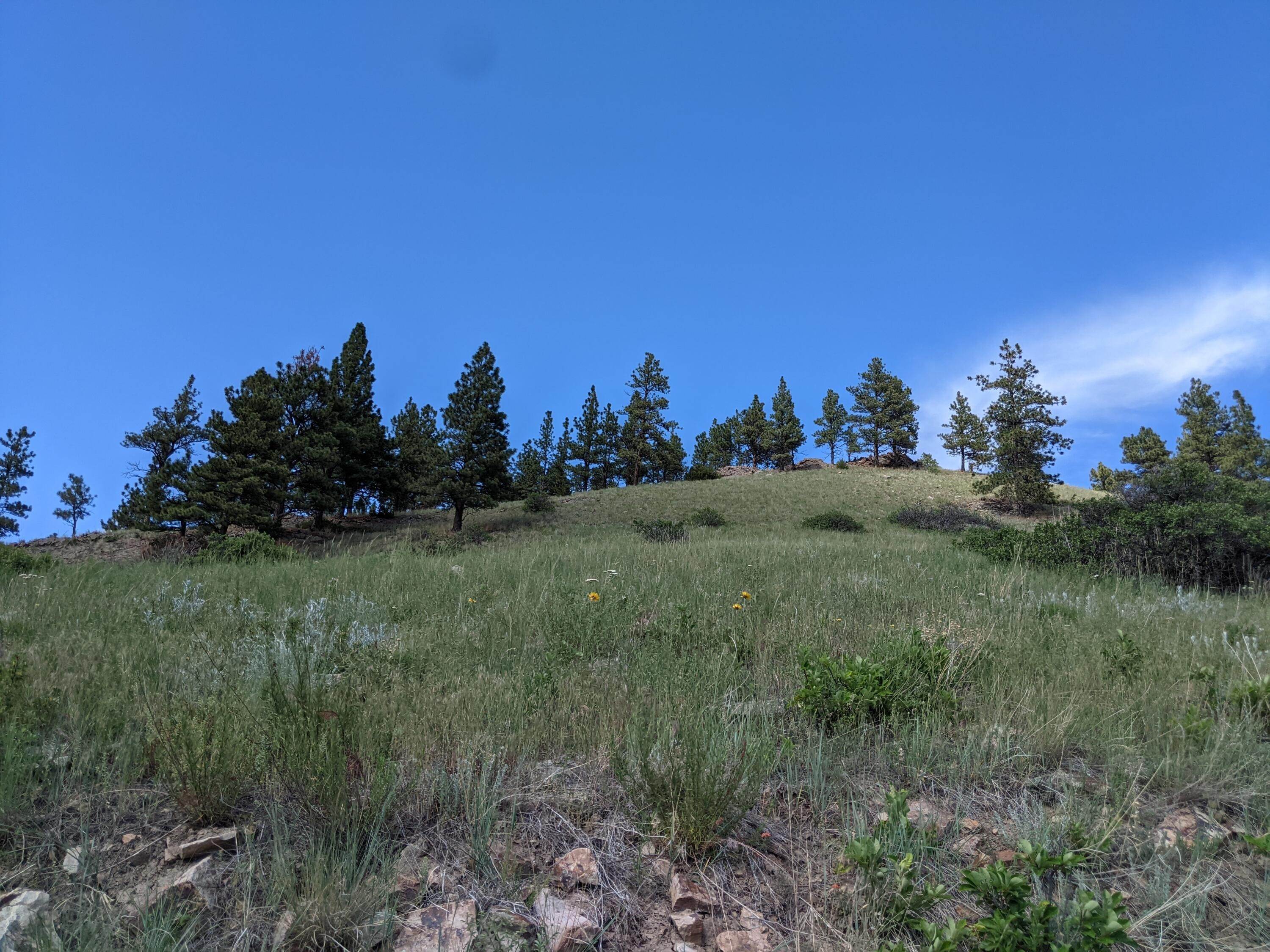 15. Land for Sale at Mtn Lion Gulch, Wolf Creek, Montana 59648 United States