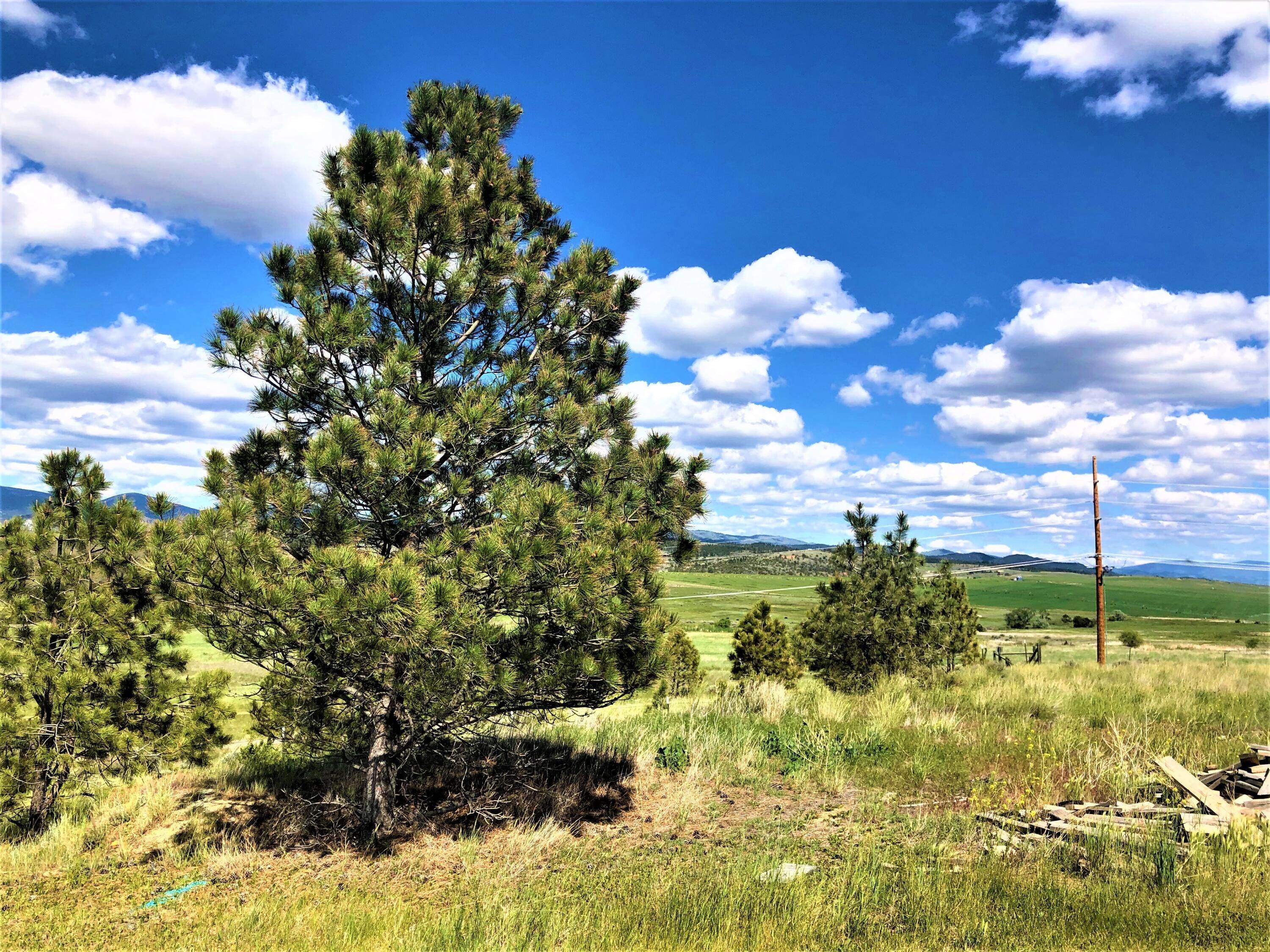 15. Single Family Homes for Sale at 5360 Nesting Osprey Way, Helena, Montana 59602 United States