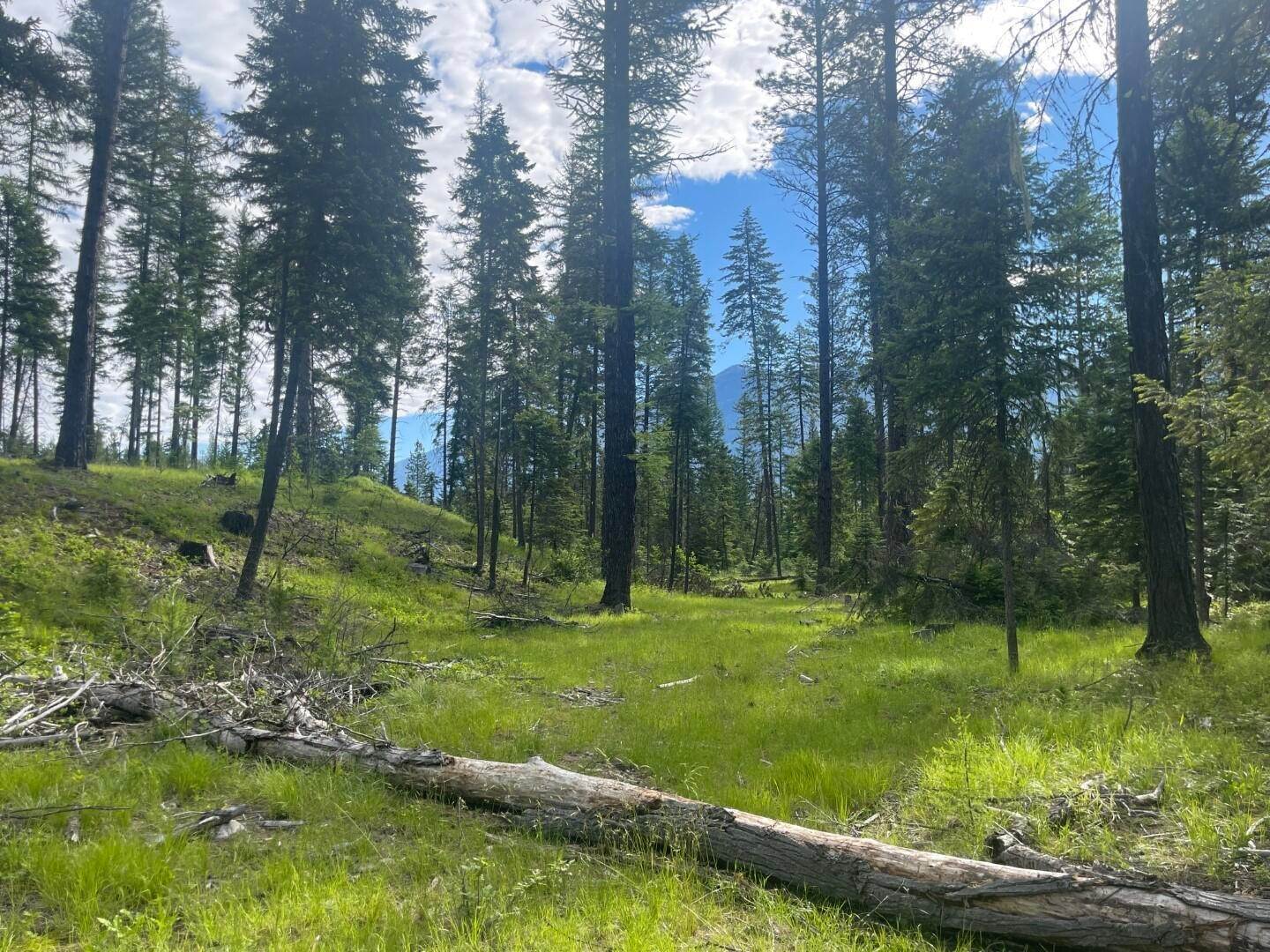 Land for Sale at Tr 3ab Lime Butte - Keeler Creek Road, Troy, Montana 59935 United States