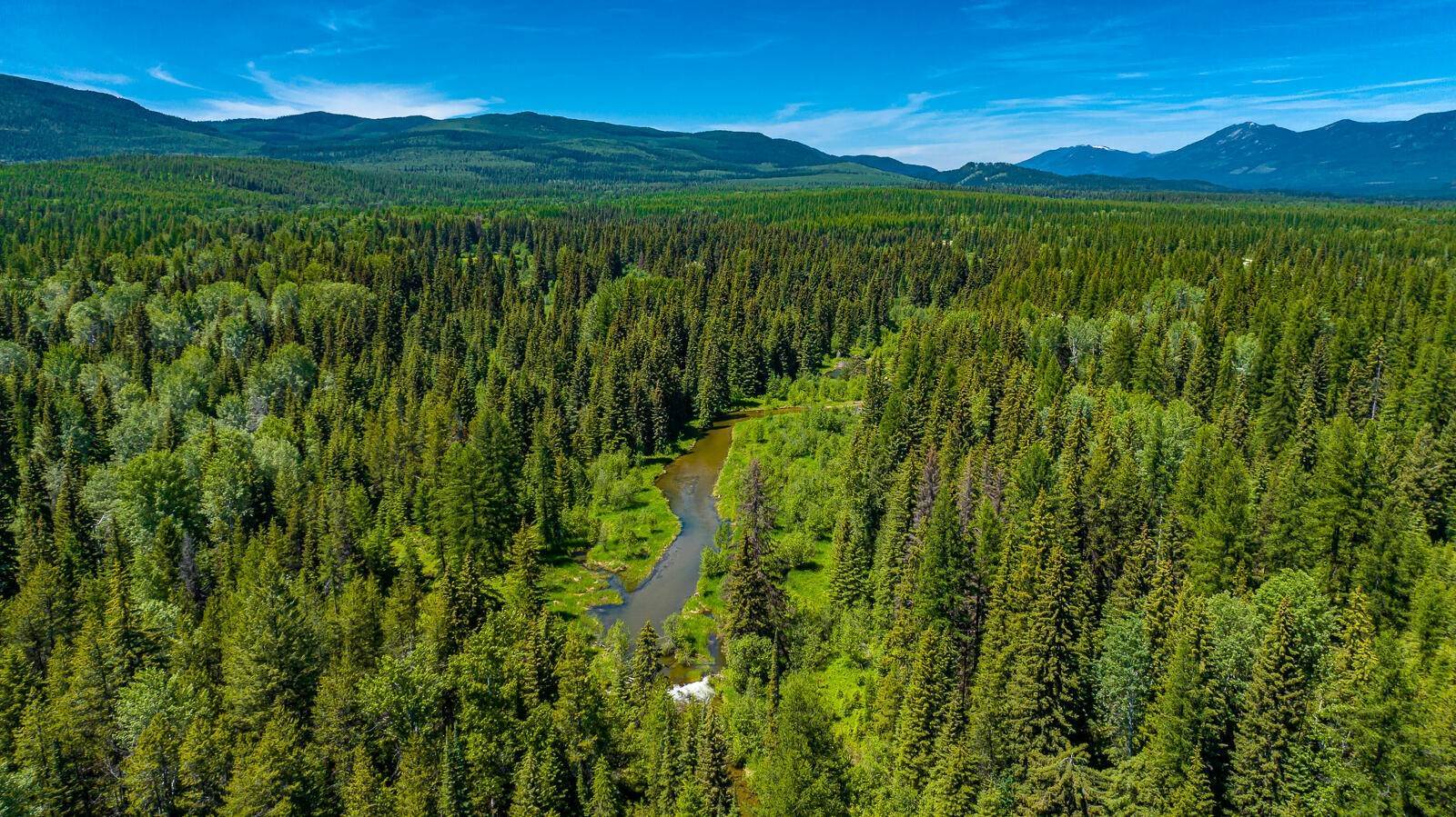 Land for Sale at 615 Potter Creek Road, Olney, Montana 59927 United States