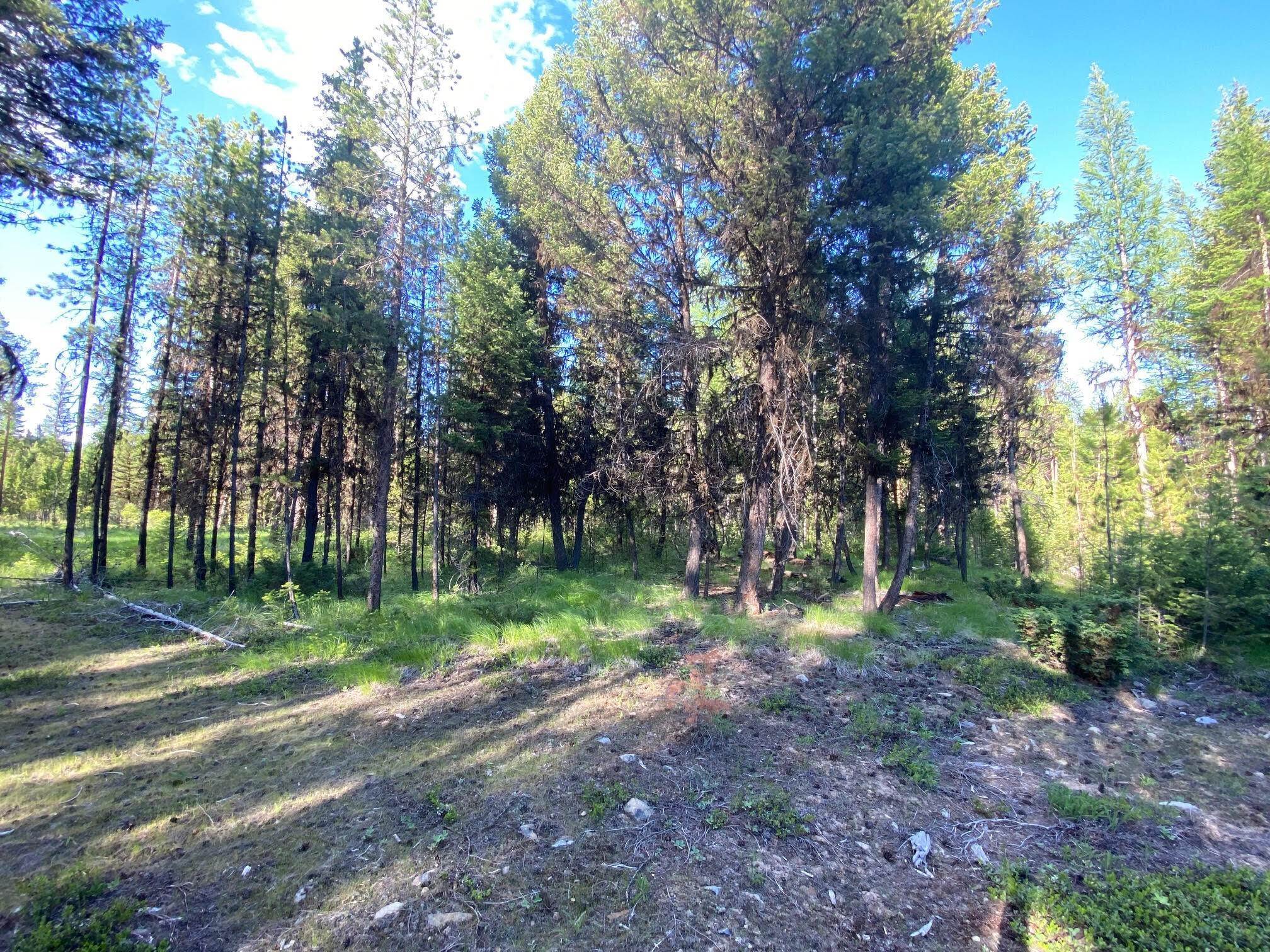 11. Land for Sale at 215 Lodgepole Drive, Marion, Montana 59925 United States