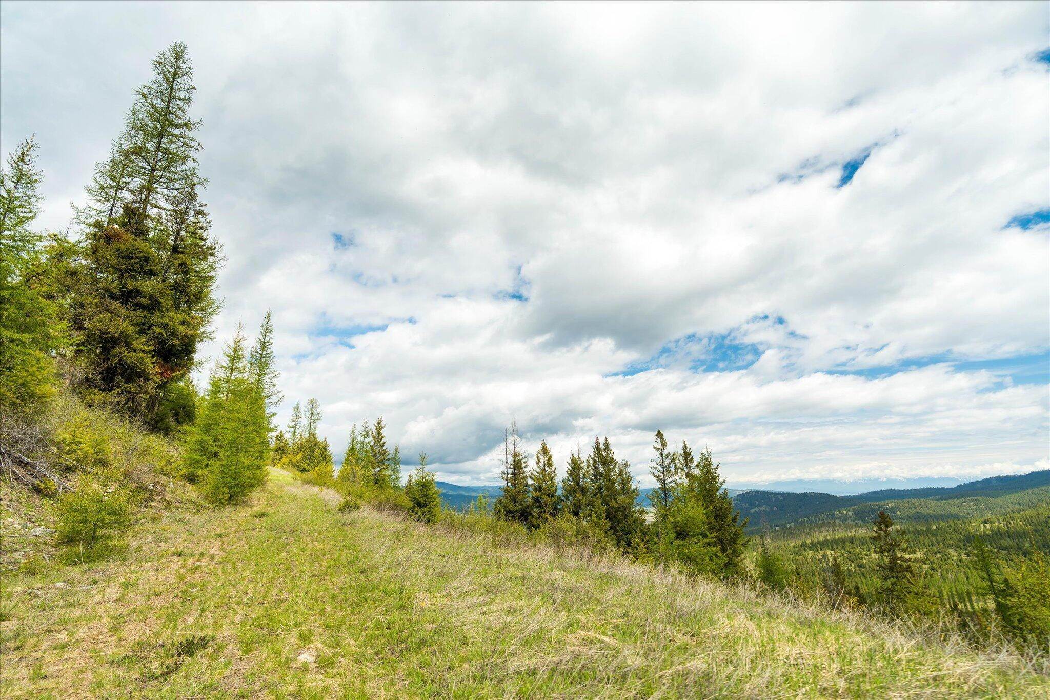 4. Land for Sale at Coon Hollow Road, Kila, Montana 59920 United States
