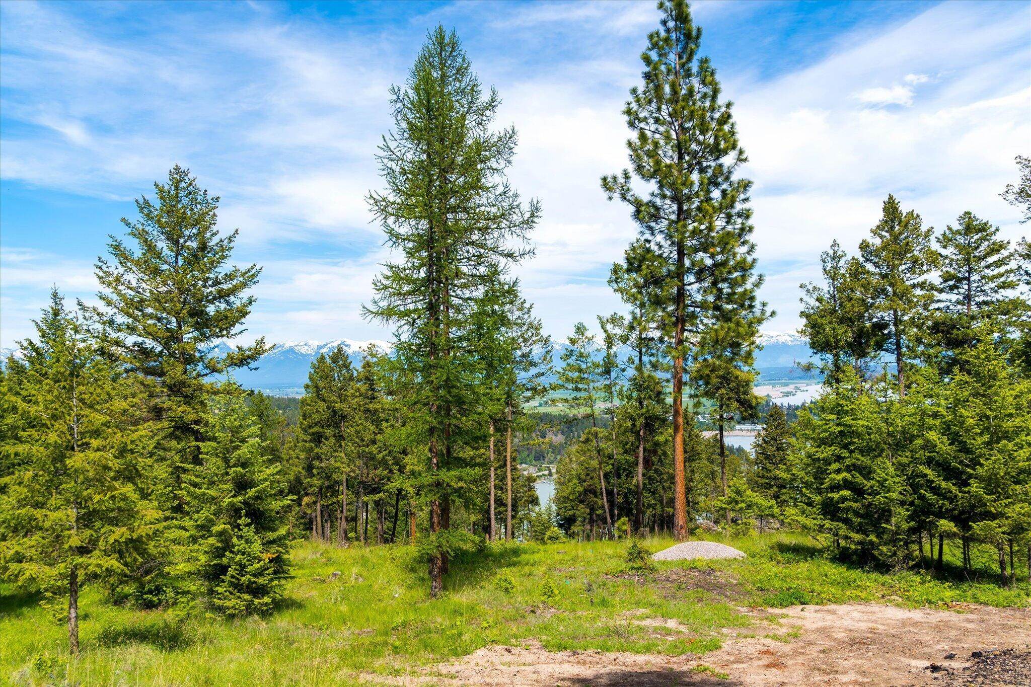 11. Land for Sale at 259 Quarry Drive, Somers, Montana 59932 United States