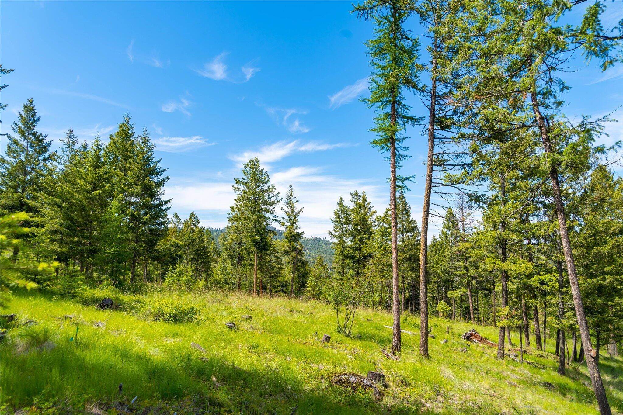 14. Land for Sale at 259 Quarry Drive, Somers, Montana 59932 United States