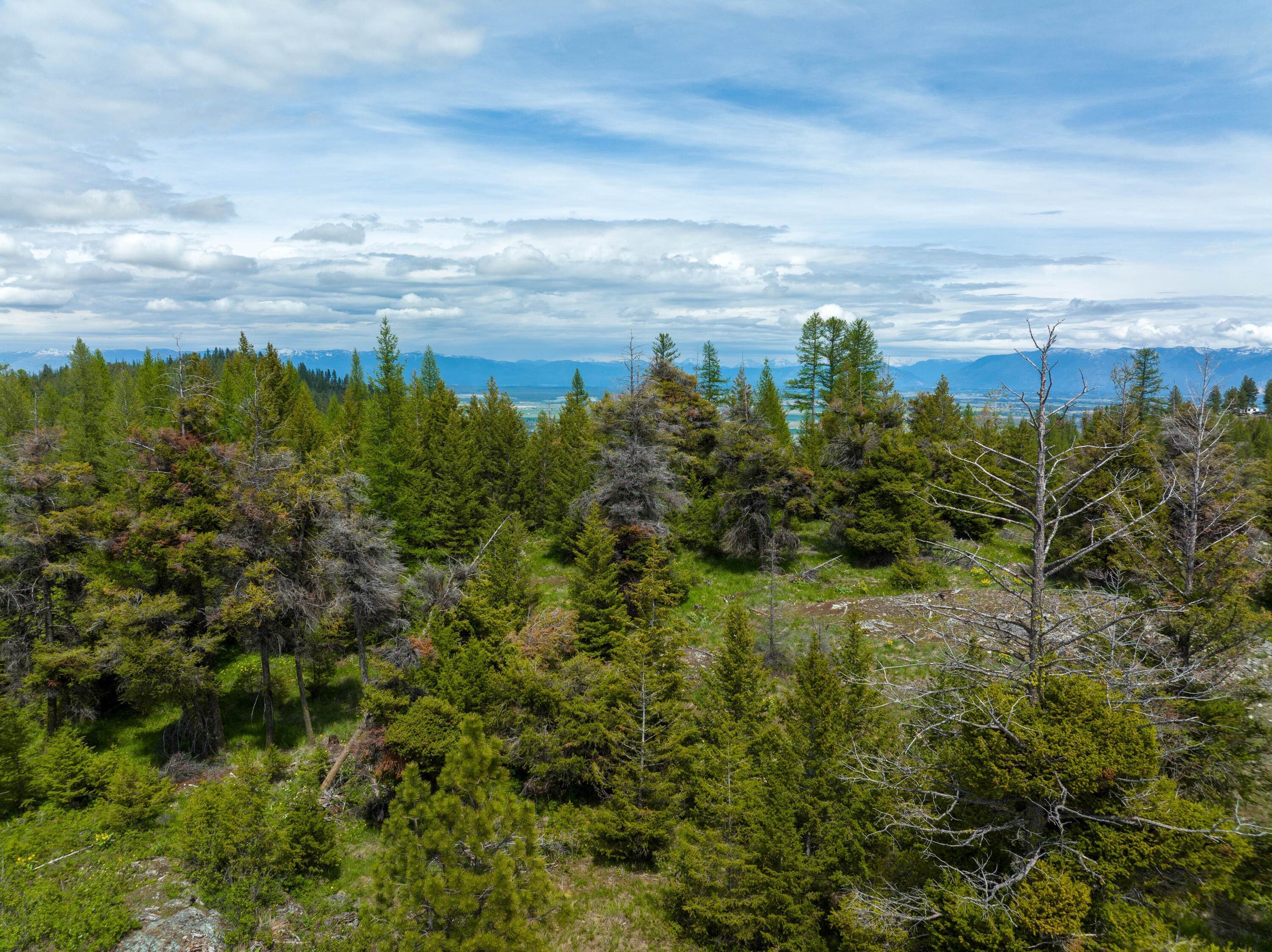 12. Land for Sale at Copper Road, Kalispell, Montana 59901 United States