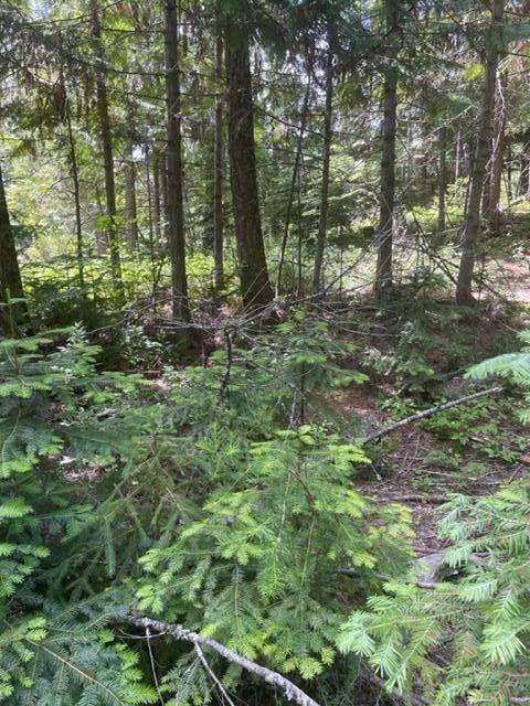6. Land for Sale at 235 Arrowhead Drive, Whitefish, Montana 59937 United States