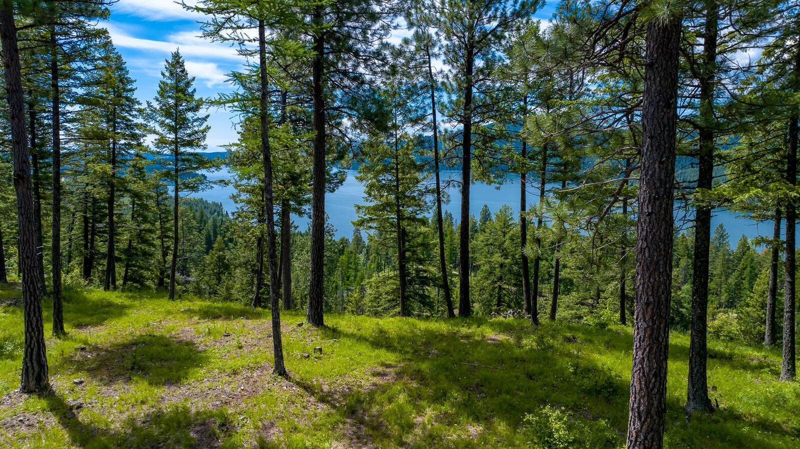 12. Land for Sale at 362 Mule Deer Trail, Whitefish, Montana 59937 United States
