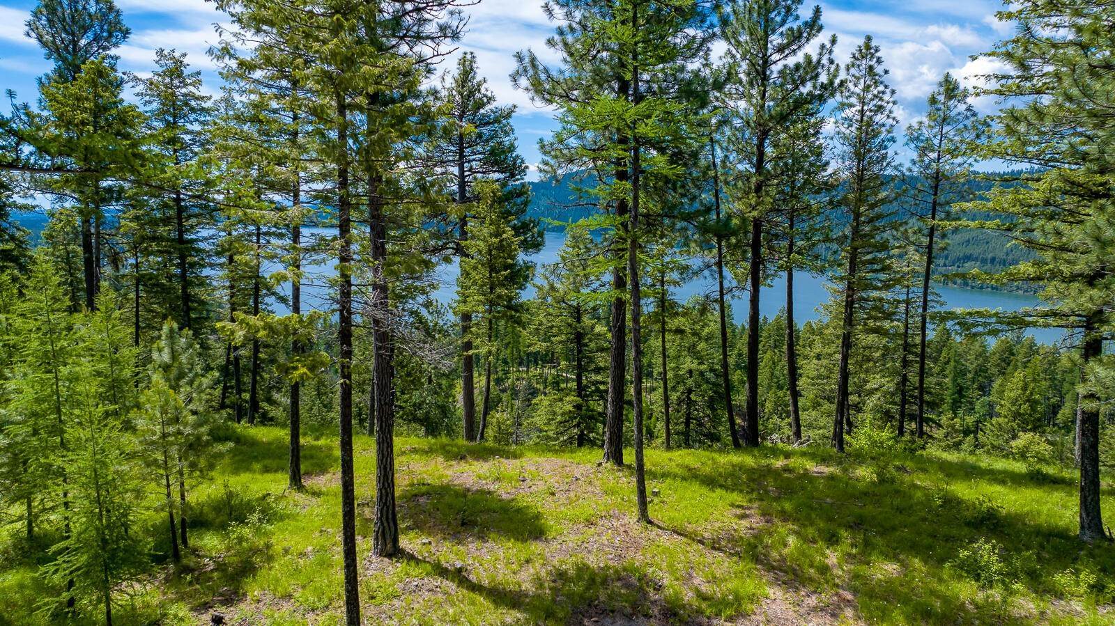13. Land for Sale at 362 Mule Deer Trail, Whitefish, Montana 59937 United States