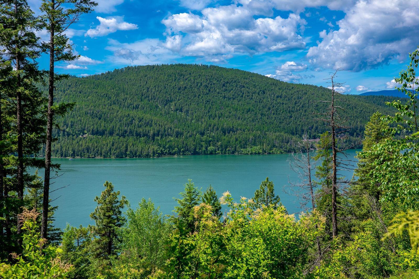 Land for Sale at 362 Mule Deer Trail, Whitefish, Montana 59937 United States