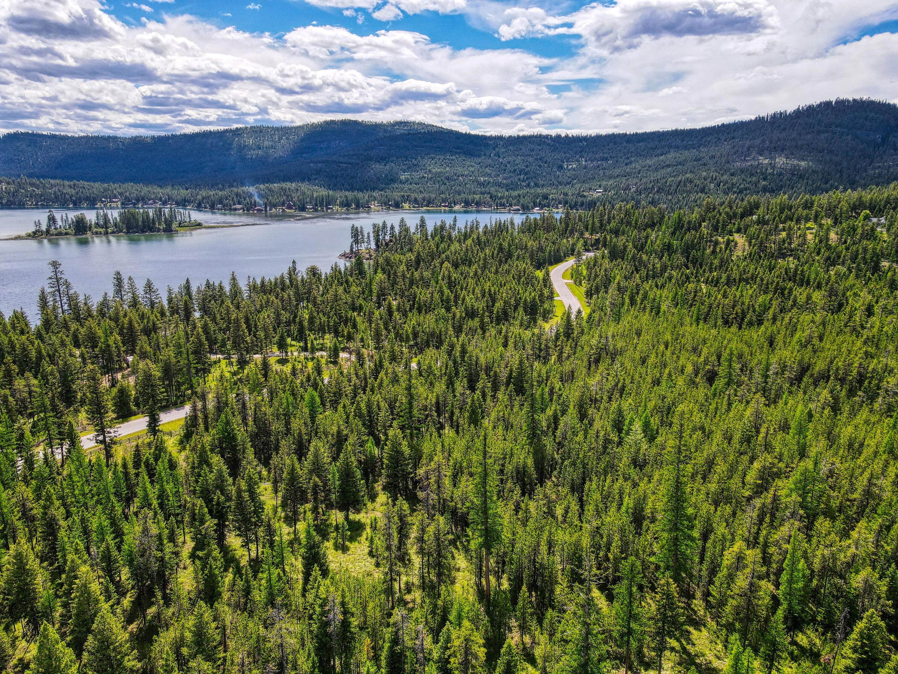 15. Land for Sale at 215 Lodgepole Drive, Marion, Montana 59925 United States