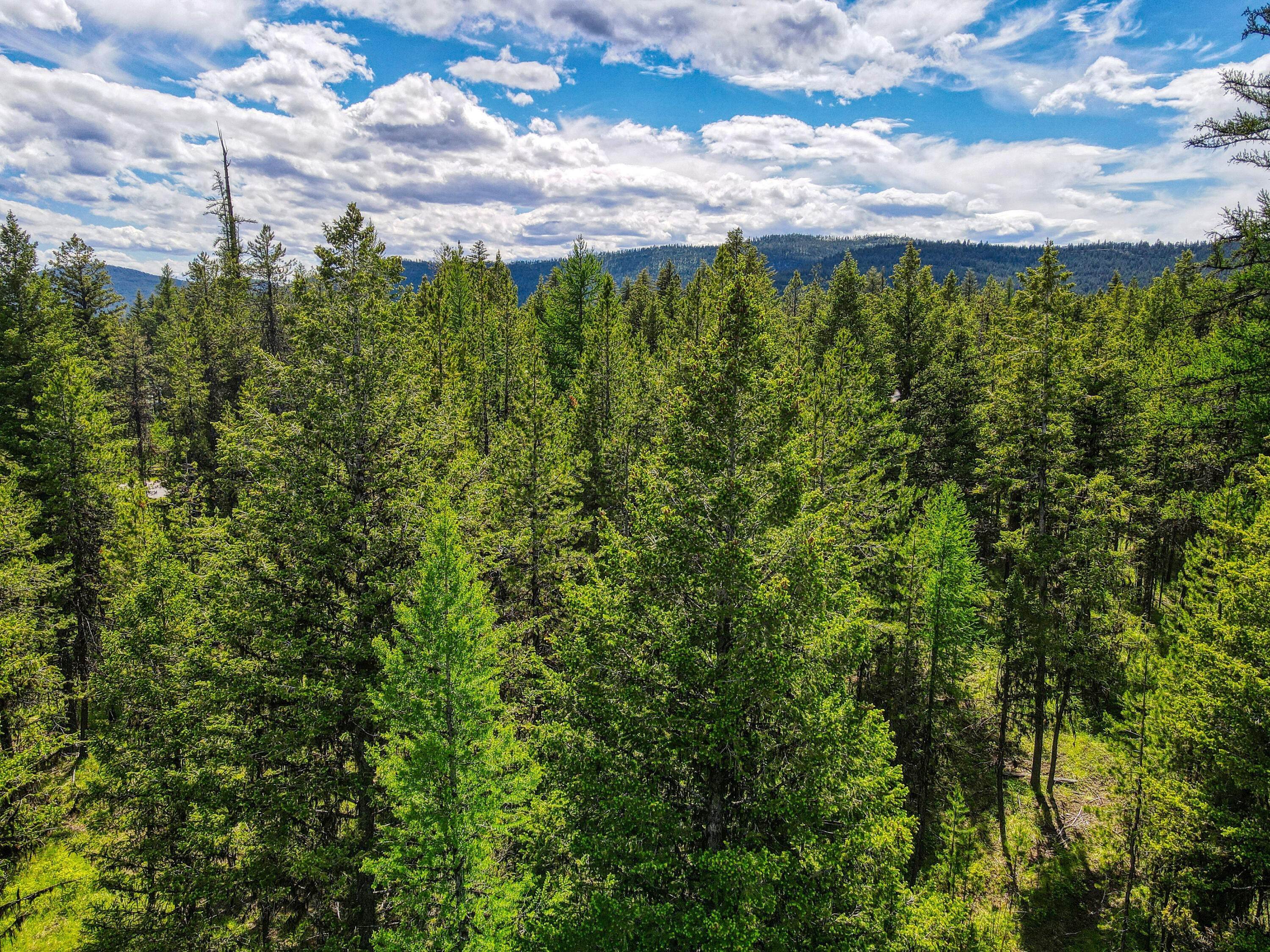 17. Land for Sale at 215 Lodgepole Drive, Marion, Montana 59925 United States