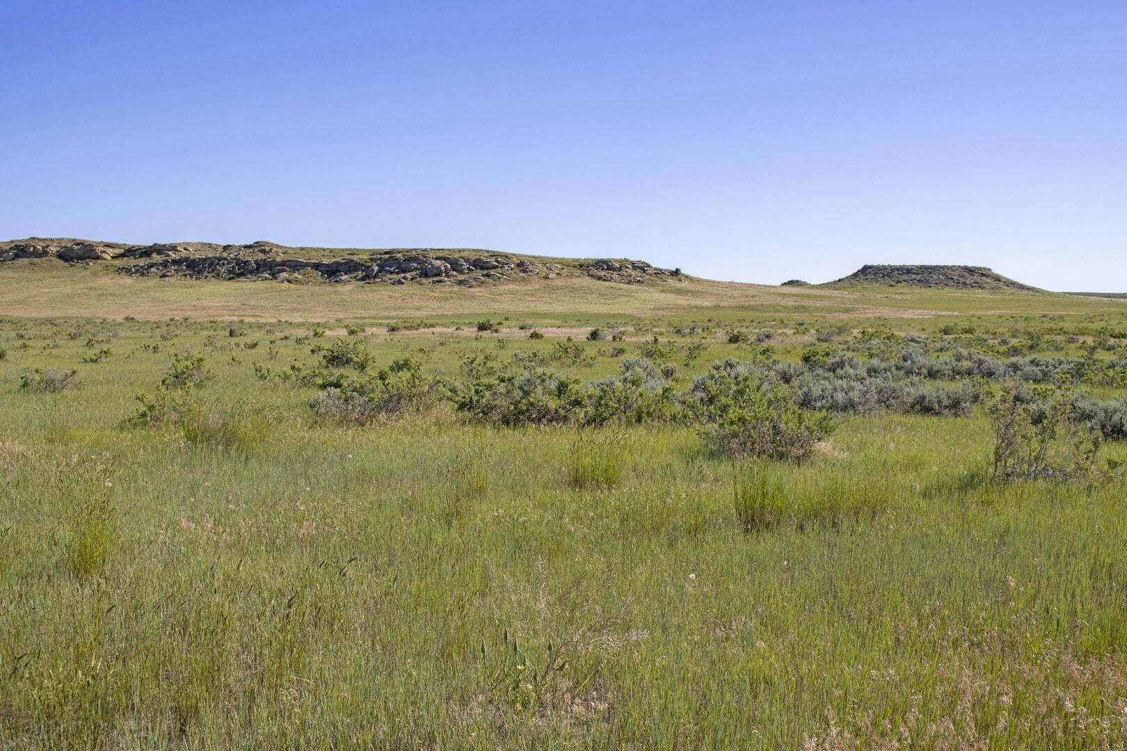 3. Land for Sale at 9602 Alexander Road, Shepherd, Montana 59079 United States