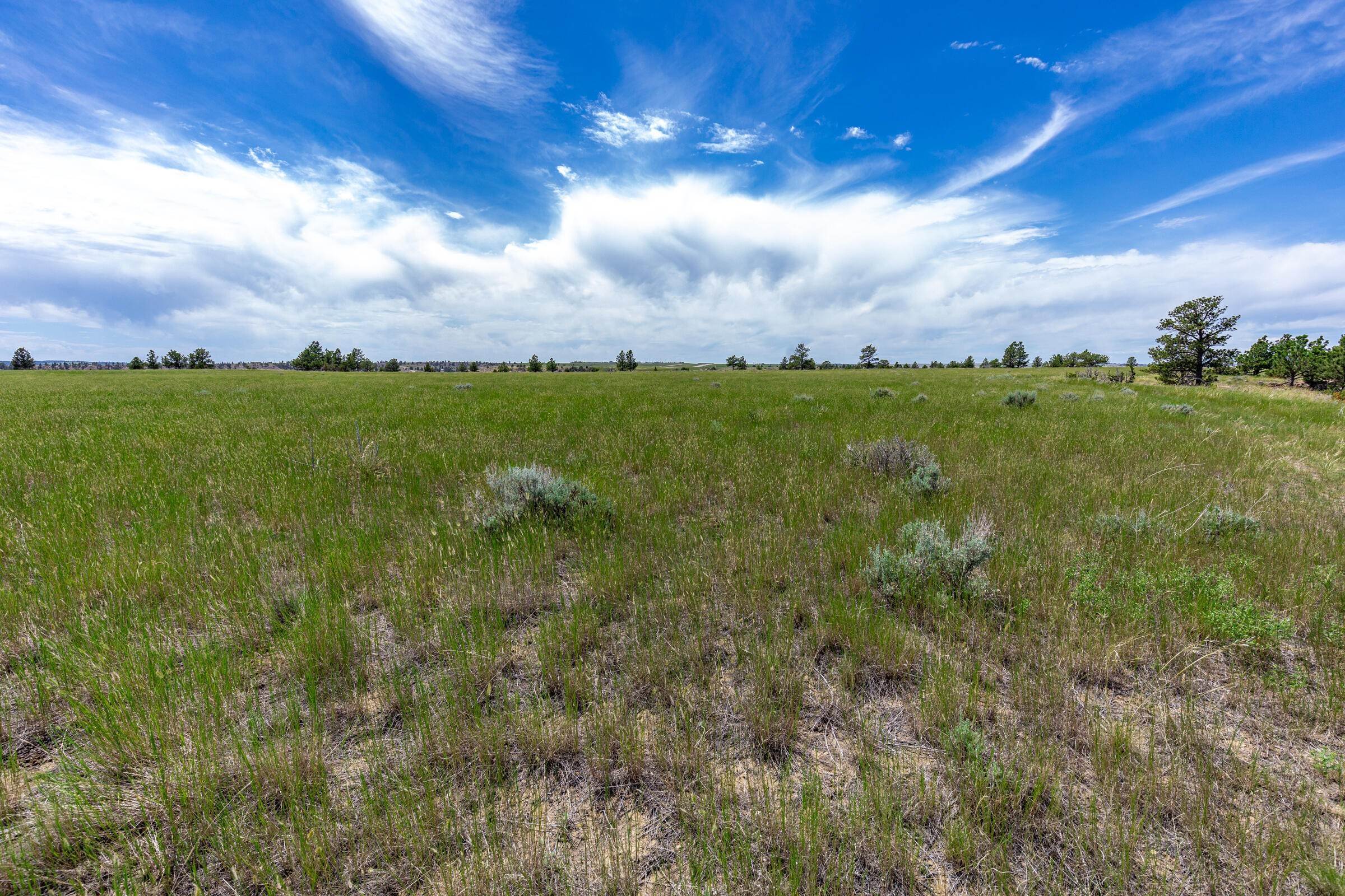7. Single Family Homes for Sale at 184 Alec Roy Road, Roundup, Montana 59072 United States
