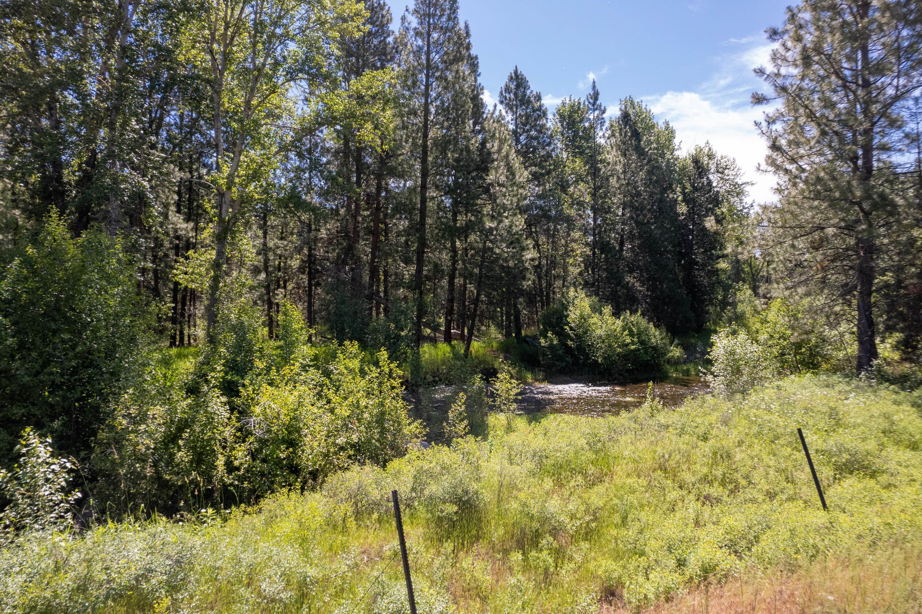 2. Land for Sale at Hwy 93, Darby, Montana 59829 United States