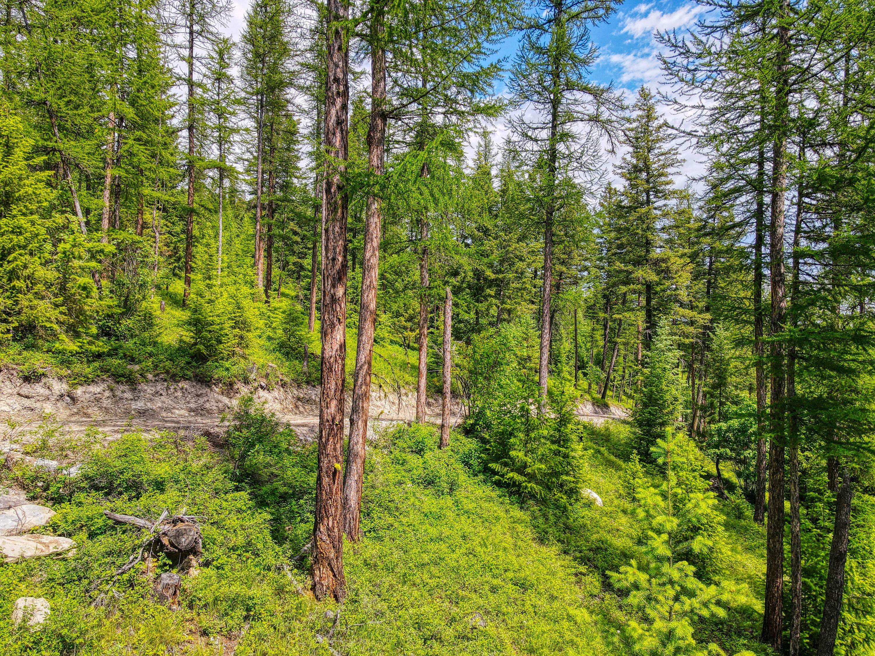 7. Land for Sale at Parcel #3 Wapiti Hills Trail, Kalispell, Montana 59901 United States