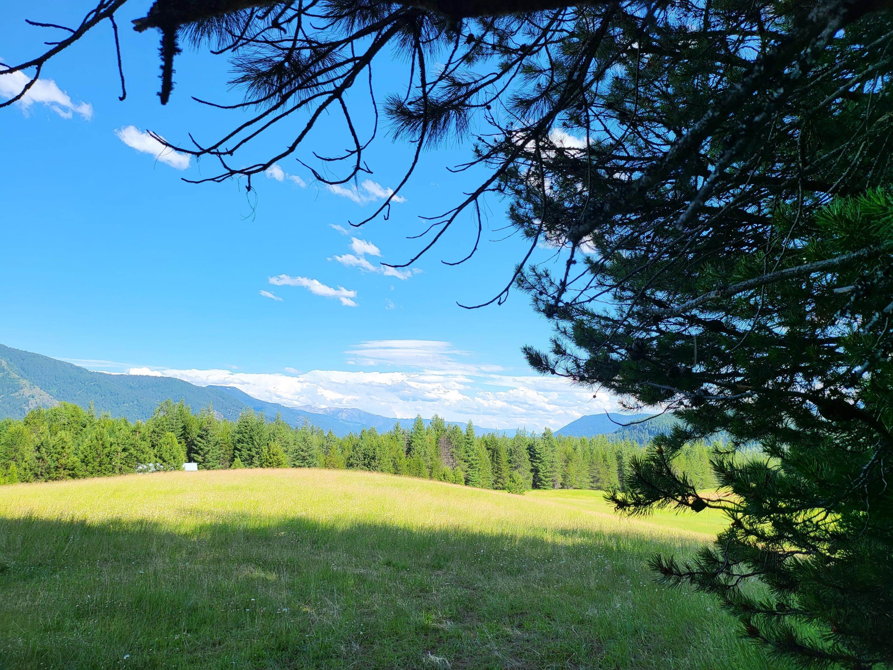11. Land for Sale at Old Hwy 200, Trout Creek, Montana 59874 United States