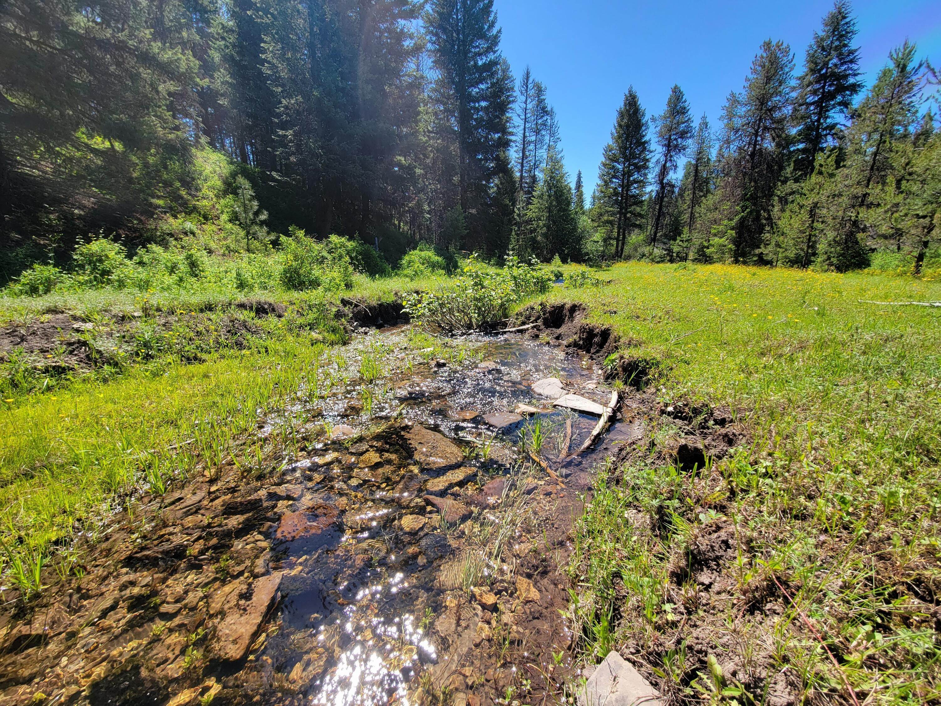 2. Land for Sale at 312 Little Thompson River Road, Plains, Montana 59859 United States
