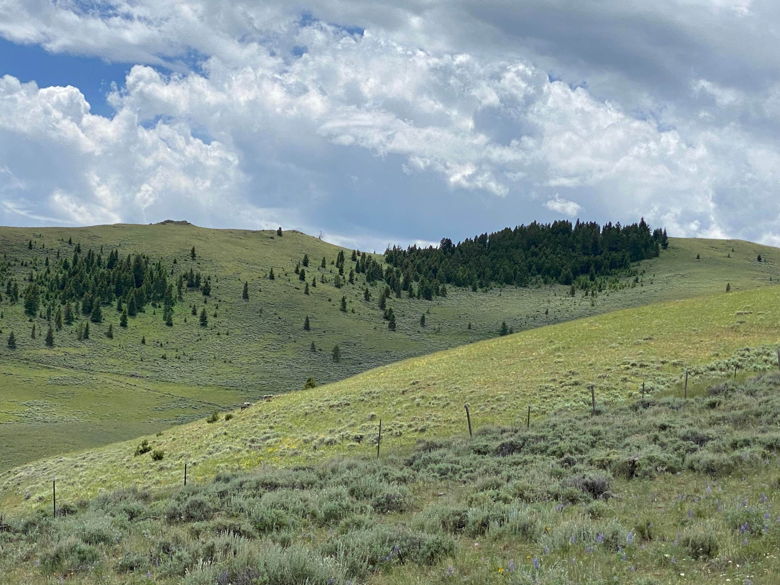 Land for Sale at 320+/- Acr Cold Creek Retreat, Ennis, Montana 59729 United States