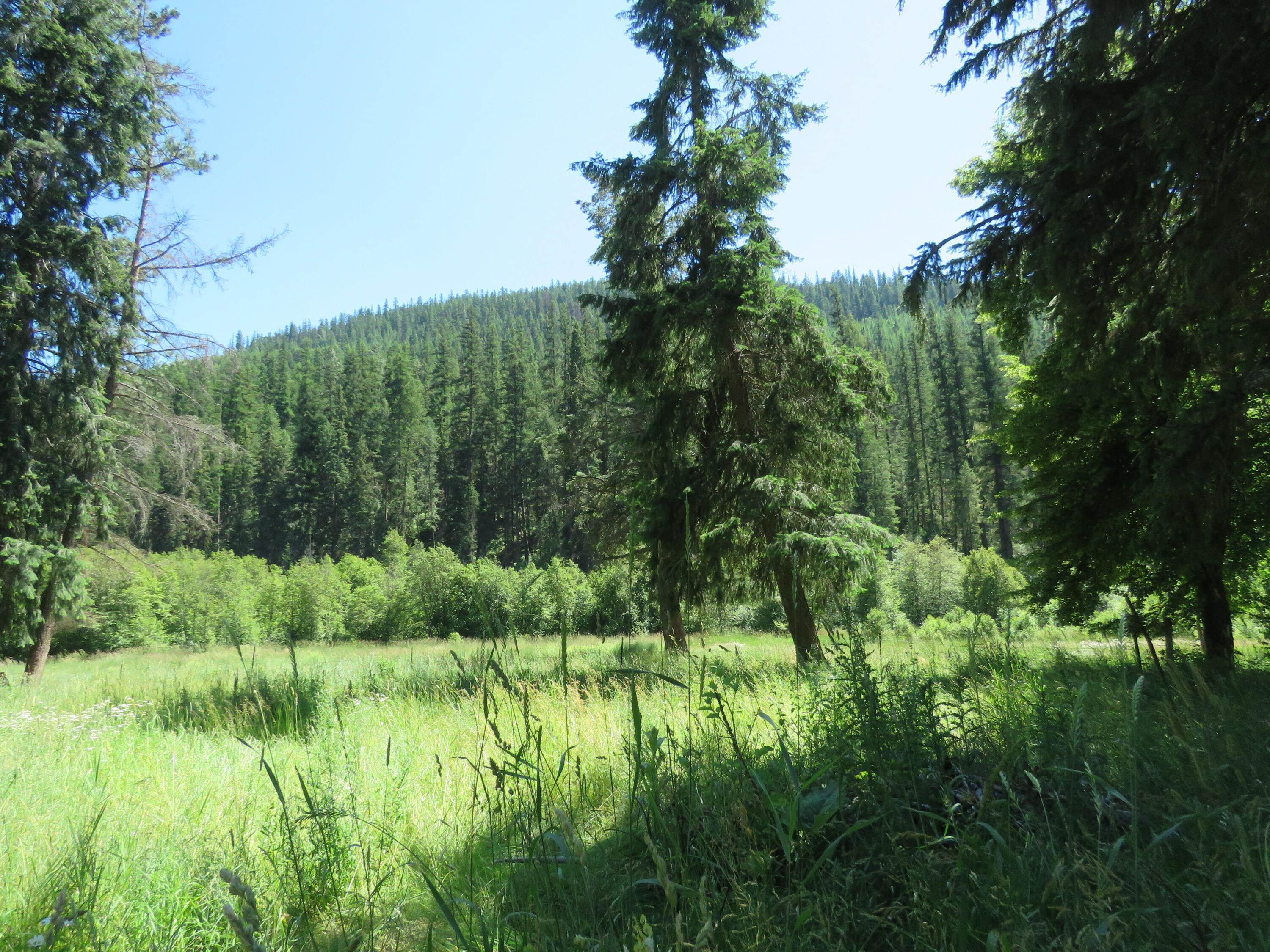 8. Land for Sale at 2013 Five Mile Creek Road, Libby, Montana 59923 United States