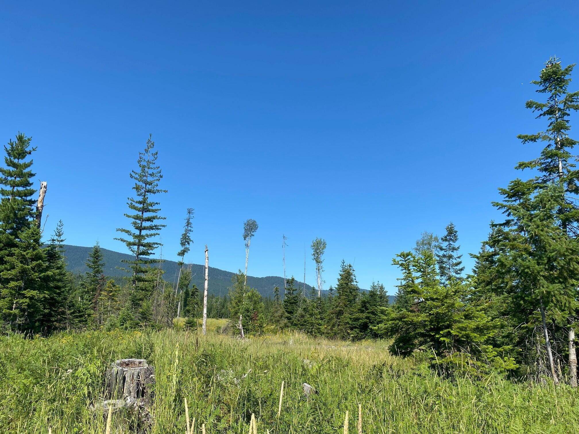 6. Land for Sale at South Hill Road, Trout Creek, Montana 59874 United States