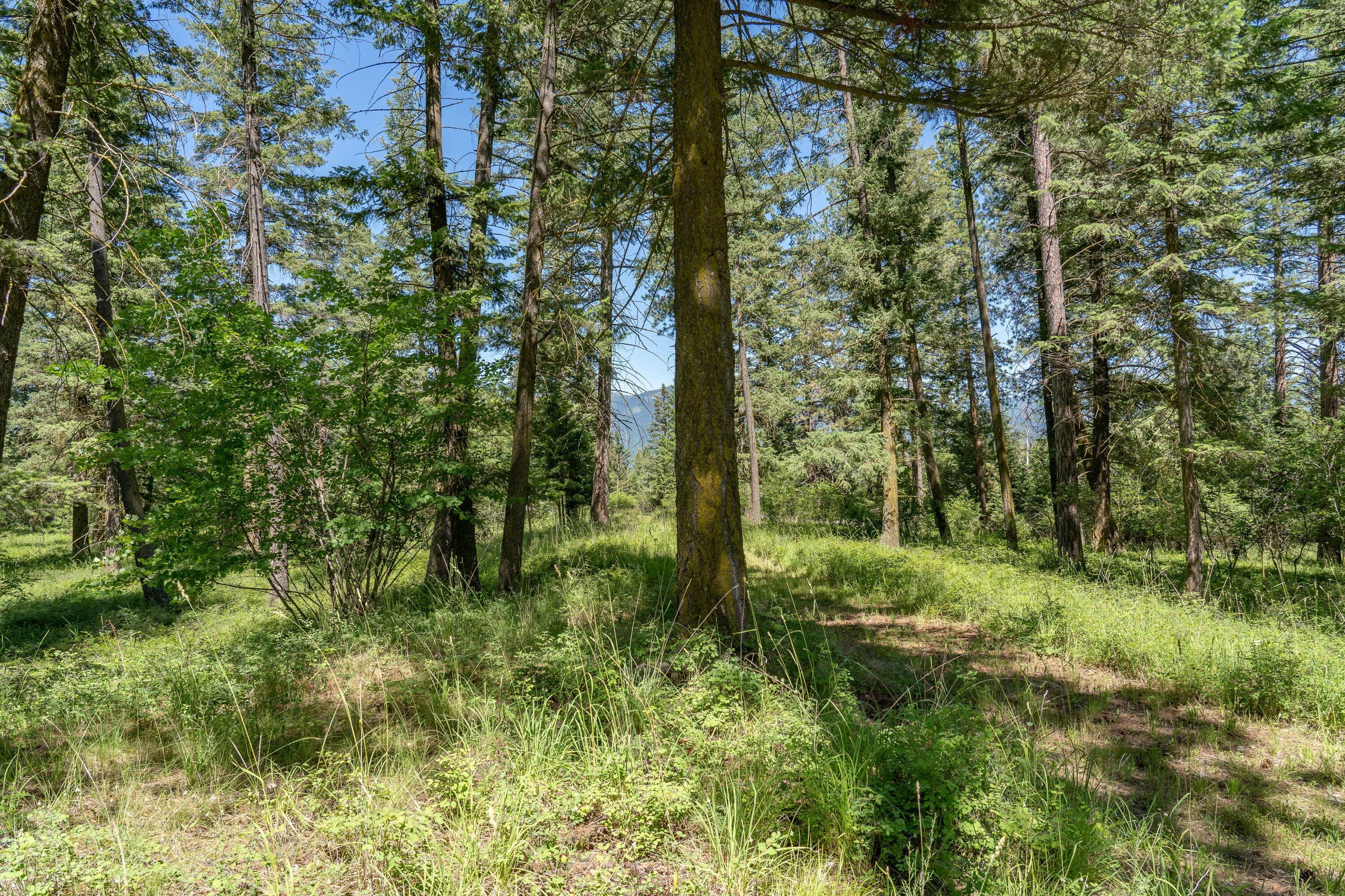 17. Land for Sale at 1020 Riverside Road, Kalispell, Montana 59901 United States