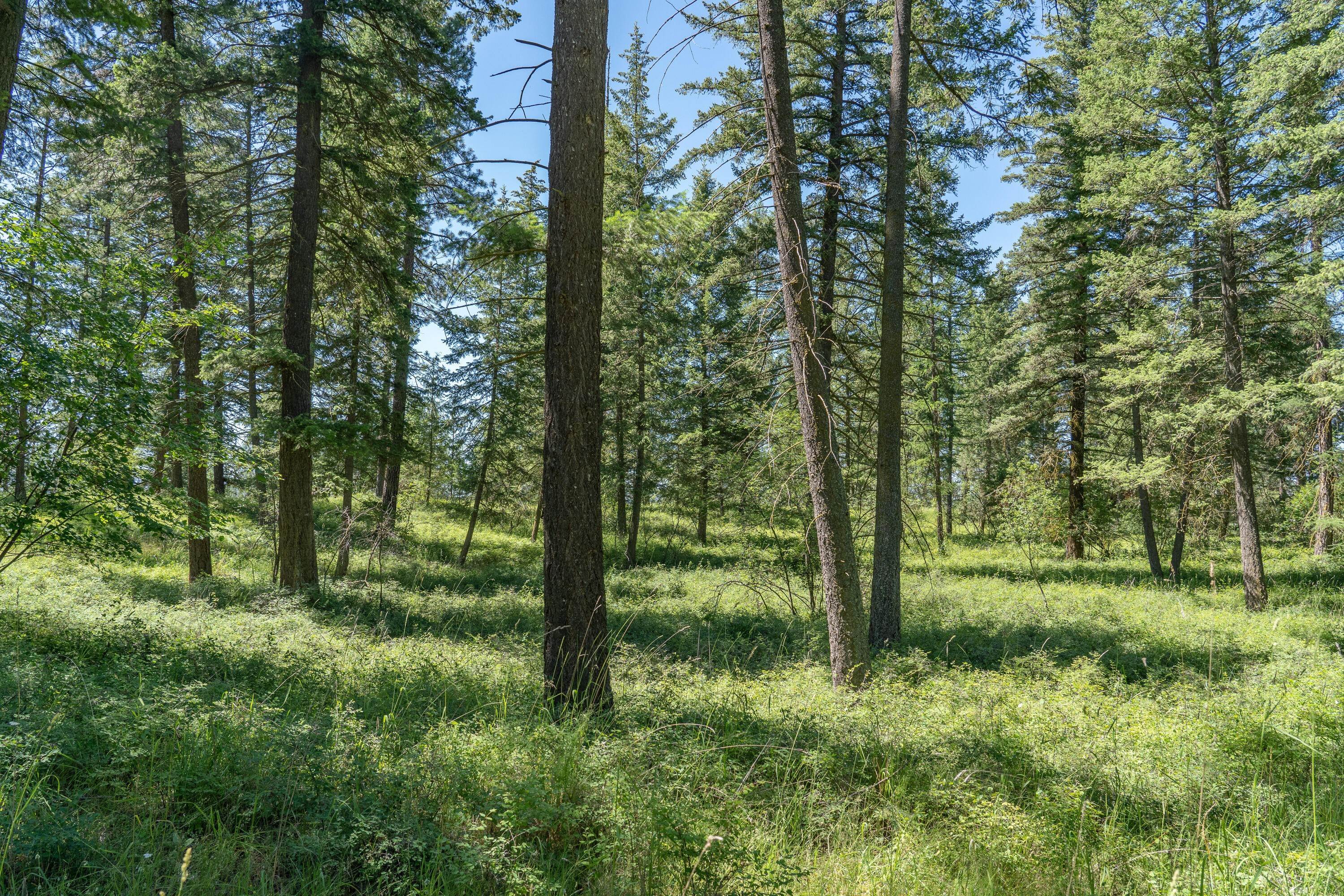 18. Land for Sale at 1020 Riverside Road, Kalispell, Montana 59901 United States