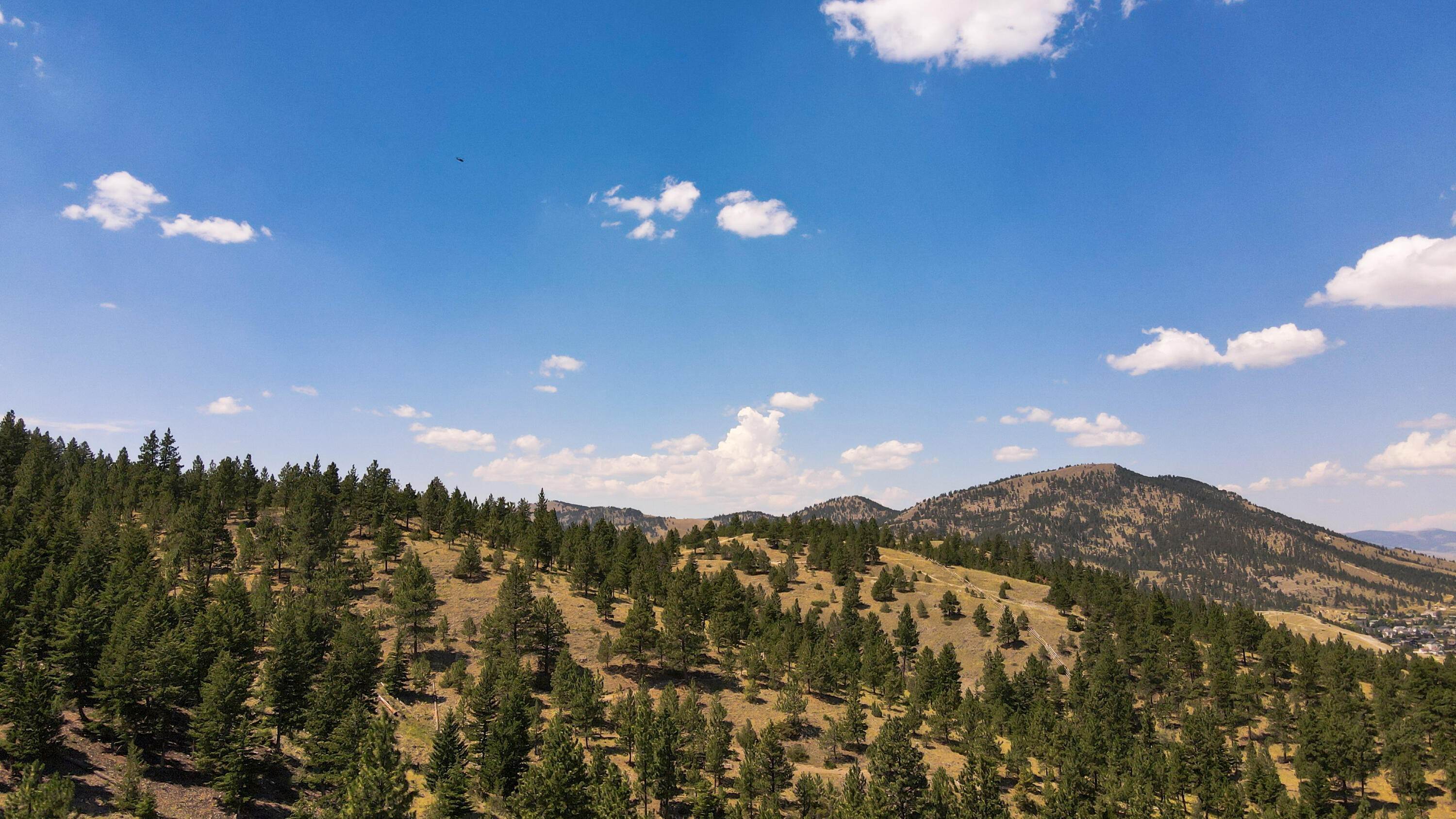 19. Land for Sale at Timberline Heights, Helena, Montana 59601 United States