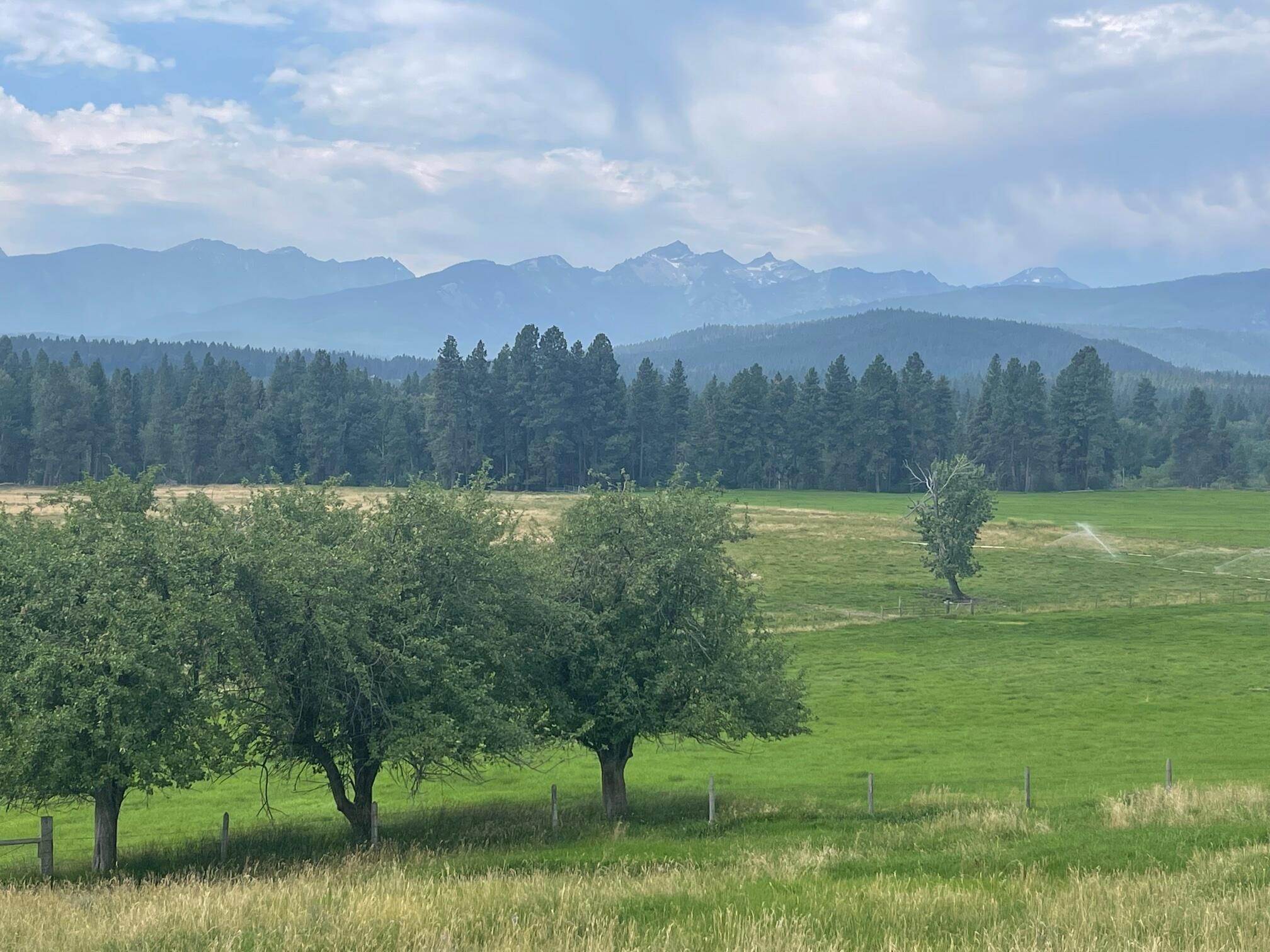 10. Land for Sale at Lost Horse Road, Hamilton, Montana 59840 United States