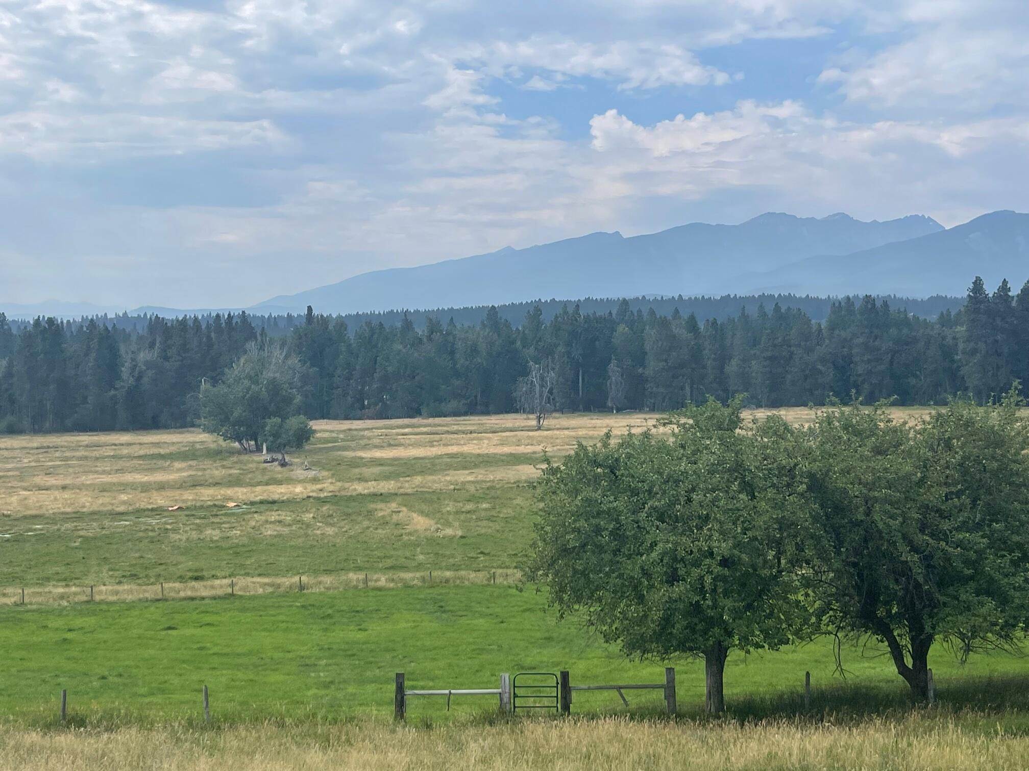 11. Land for Sale at Lost Horse Road, Hamilton, Montana 59840 United States