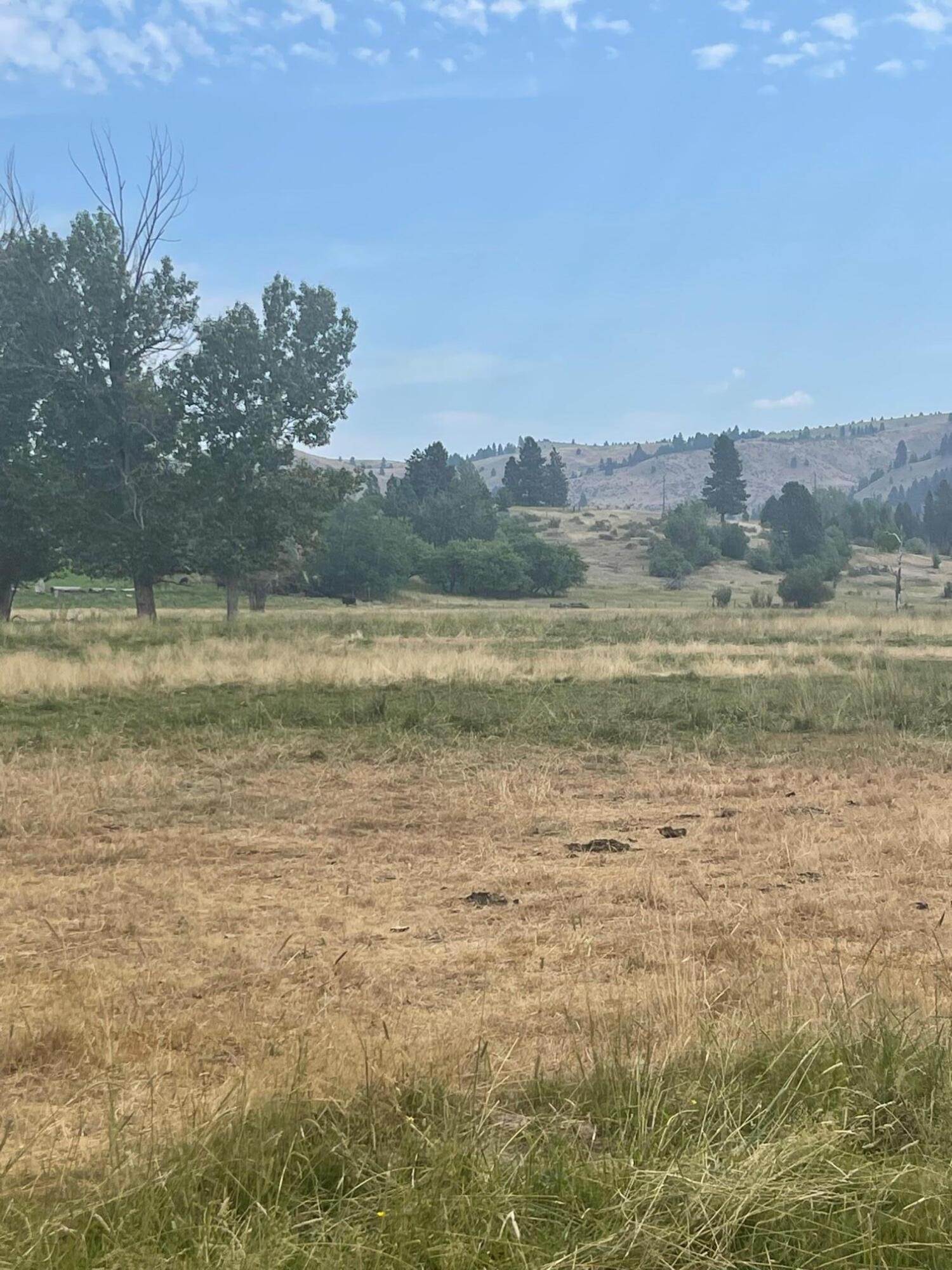 15. Land for Sale at Lost Horse Road, Hamilton, Montana 59840 United States