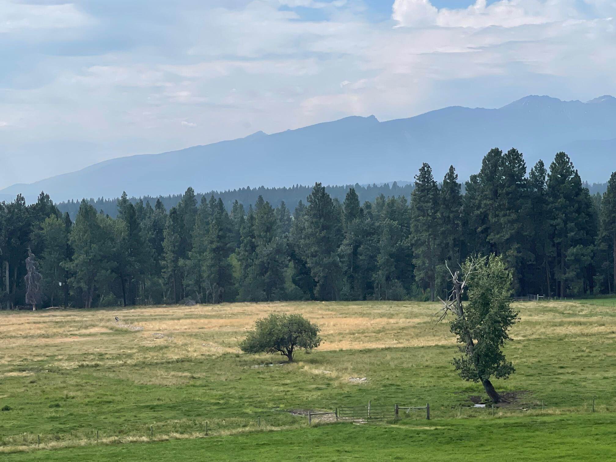 6. Land for Sale at Lost Horse Road, Hamilton, Montana 59840 United States