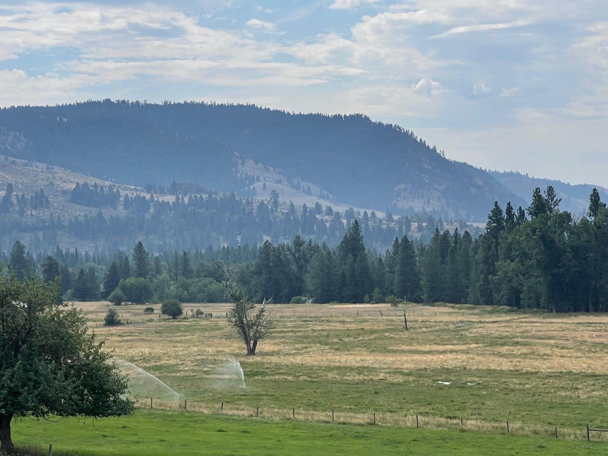 7. Land for Sale at Lost Horse Road, Hamilton, Montana 59840 United States