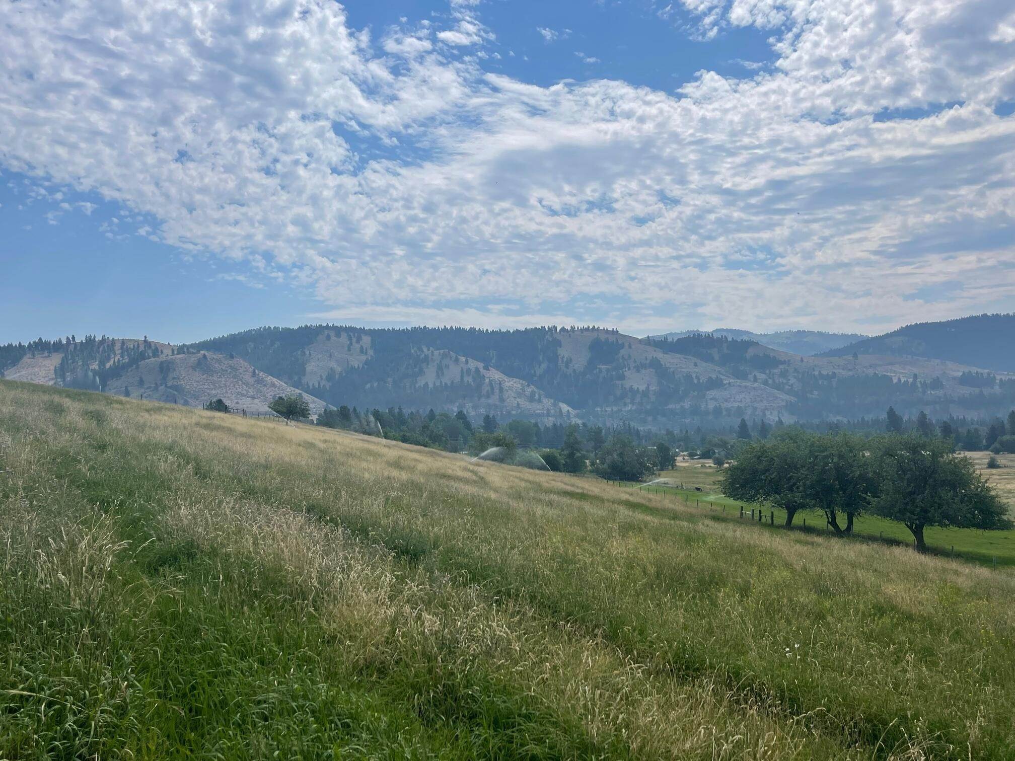 8. Land for Sale at Lost Horse Road, Hamilton, Montana 59840 United States
