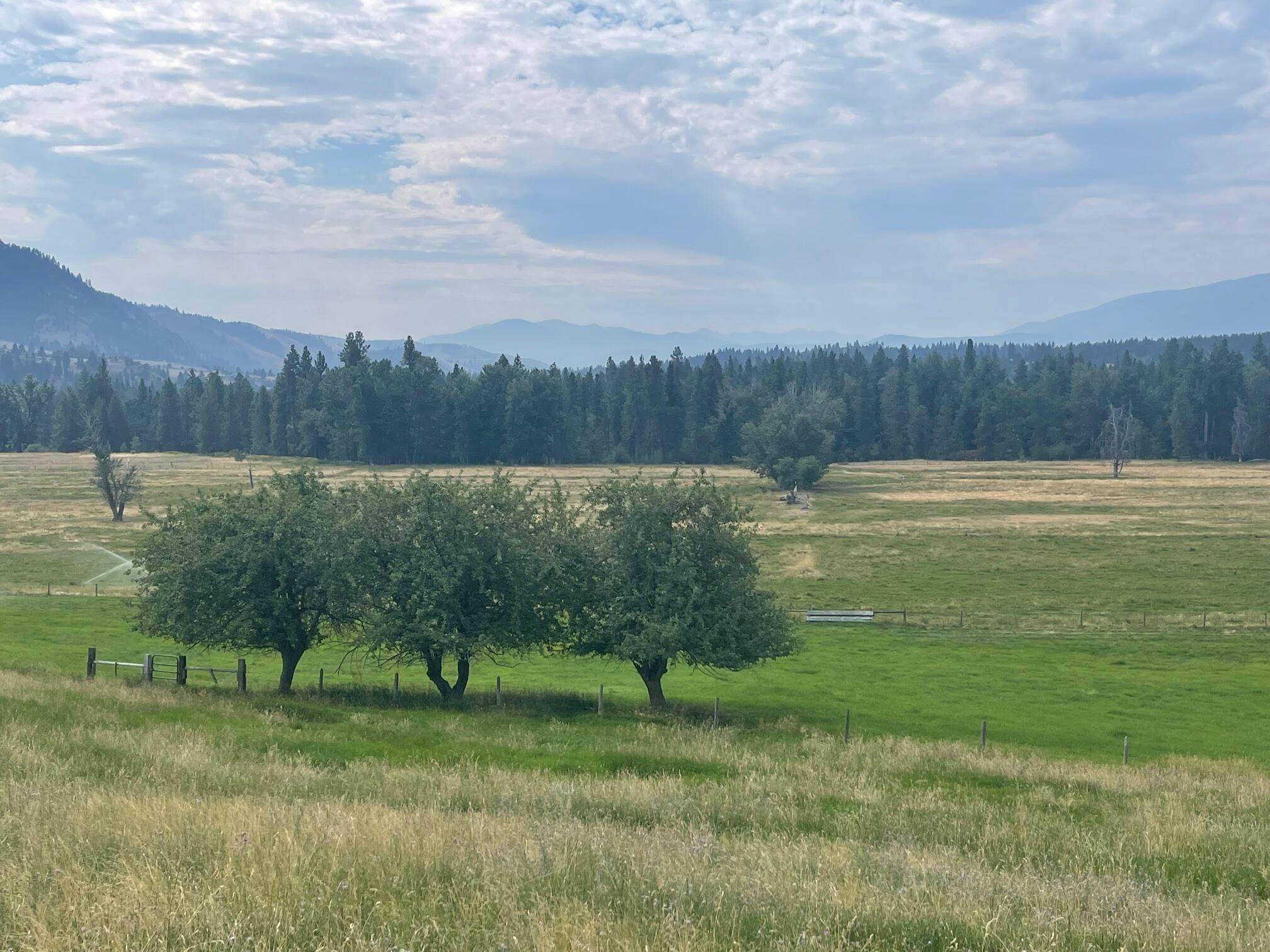 18. Land for Sale at Lost Horse Road, Hamilton, Montana 59840 United States