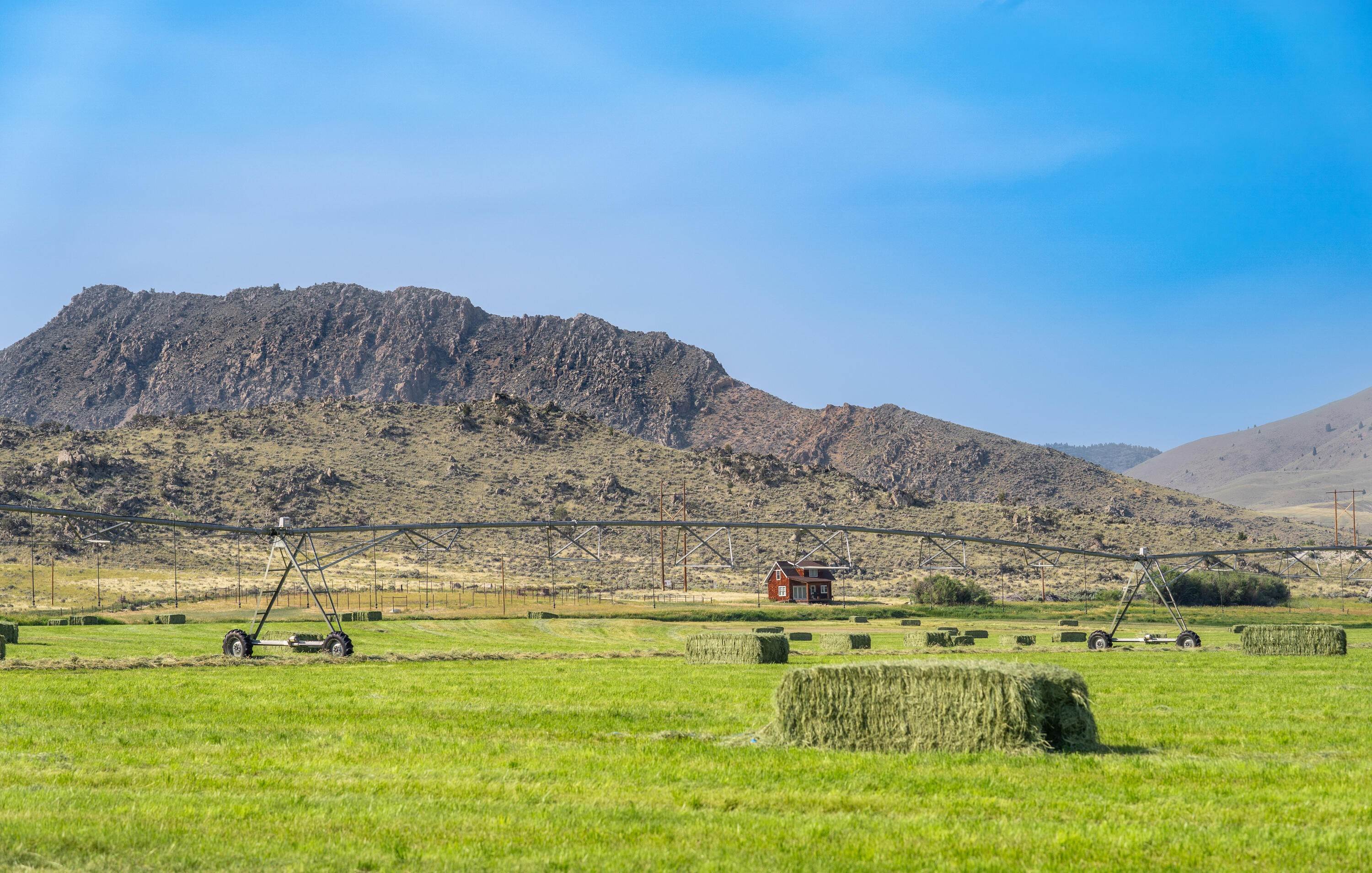 4. Farm / Agriculture for Sale at Tbd Cotton Willow-Diamond T Ranch, Melrose, Montana 59743 United States