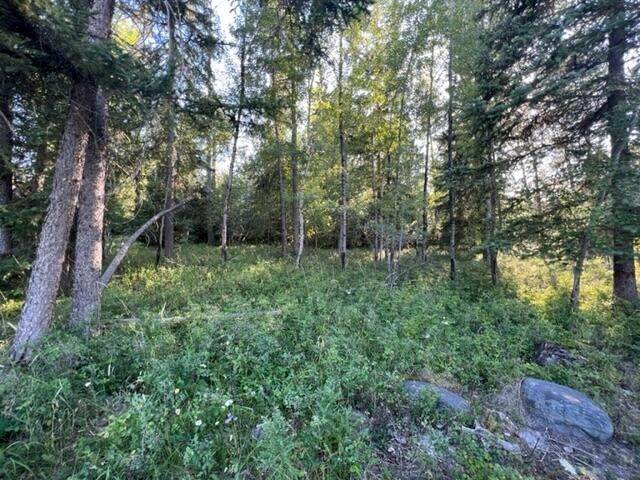 9. Land for Sale at 969/971 Colorado Avenue, Whitefish, Montana 59937 United States
