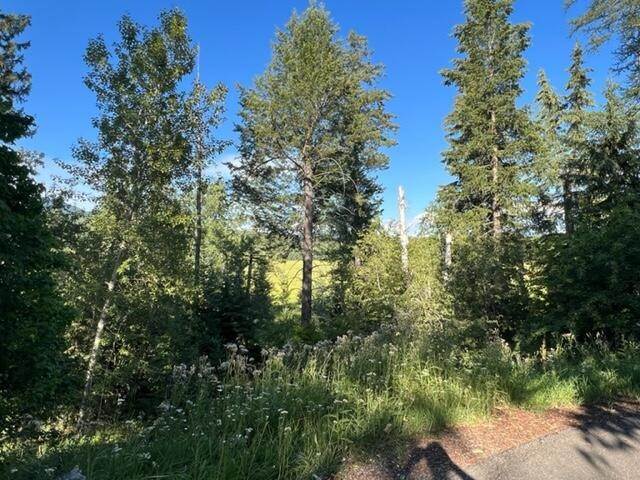 19. Land for Sale at 969/971 Colorado Avenue, Whitefish, Montana 59937 United States