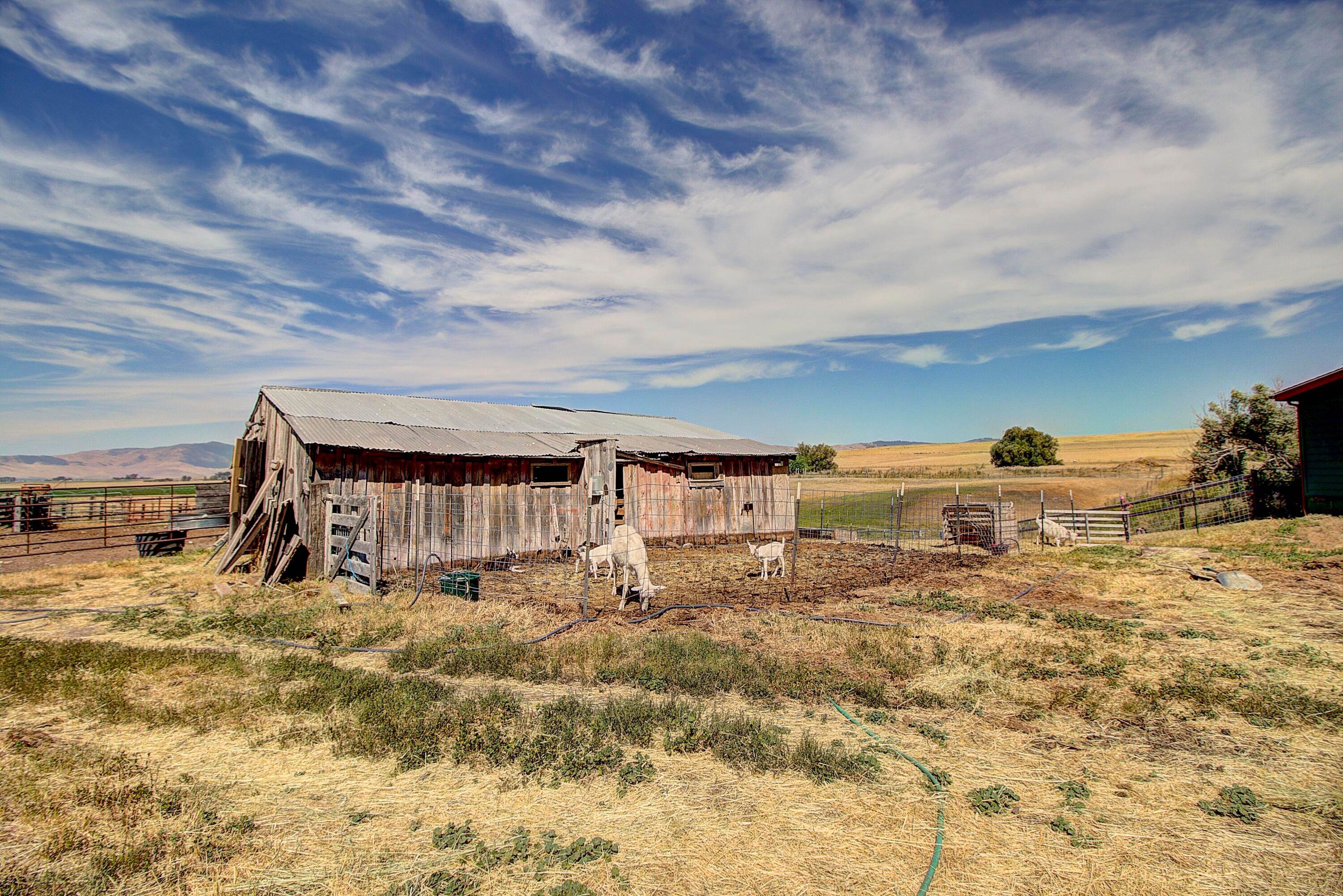 18. Farm / Agriculture for Sale at 41263 Forman Road, Polson, Montana 59860 United States