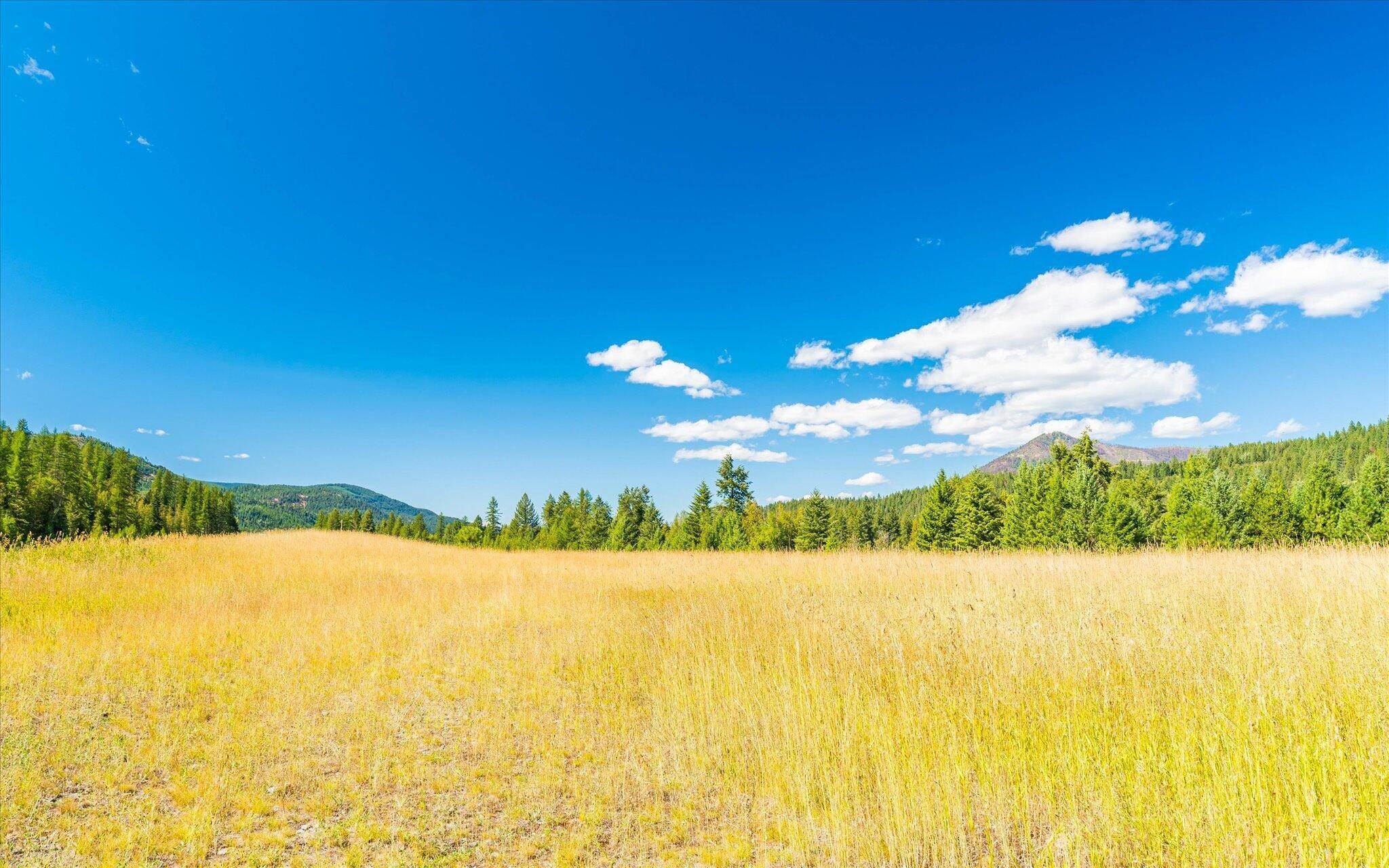 11. Land for Sale at Hunts Mill Road, Troy, Montana 59935 United States
