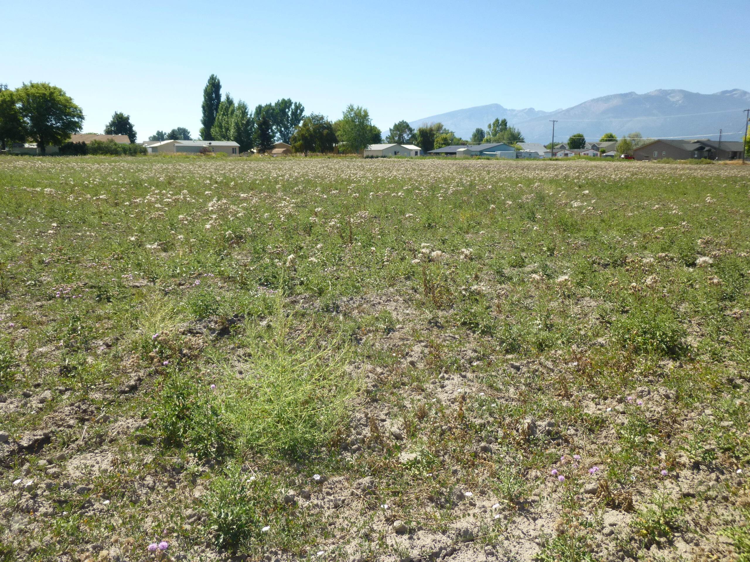 1. Land for Sale at 997 Eastside, Corvallis, Montana 59828 United States