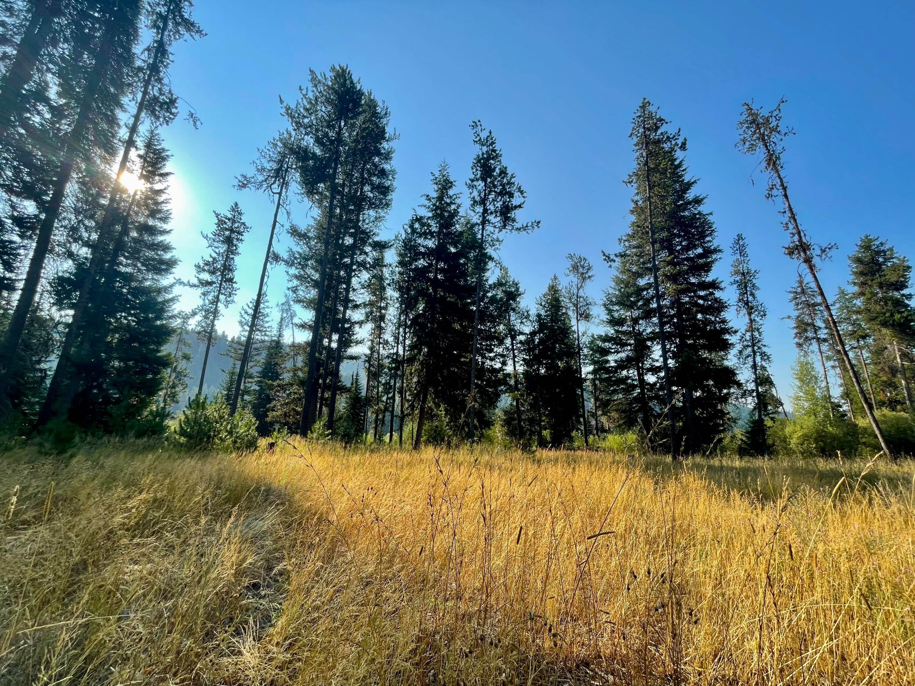 7. Land for Sale at 37048 Us Hwy 12, Lolo, Montana 59847 United States