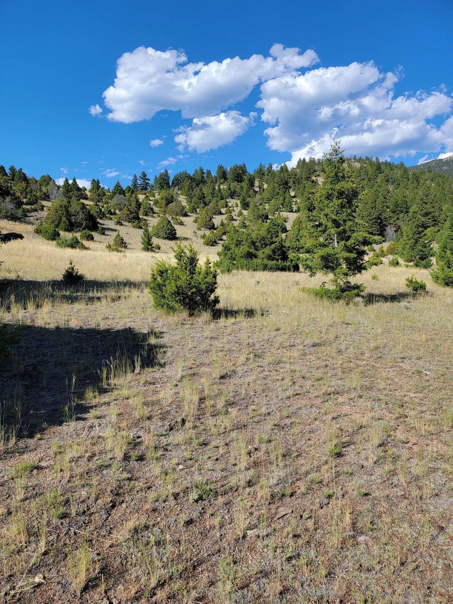 15. Land for Sale at Lower Valley Road, Boulder, Montana 59632 United States