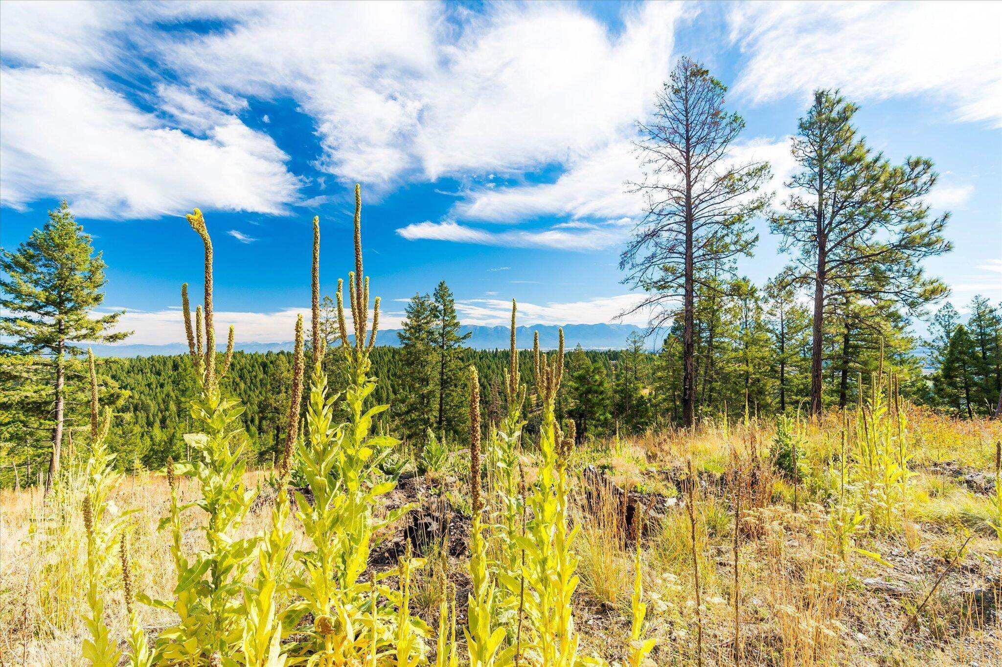 5. Land for Sale at Overlook Ridge, Kalispell, Montana 59901 United States