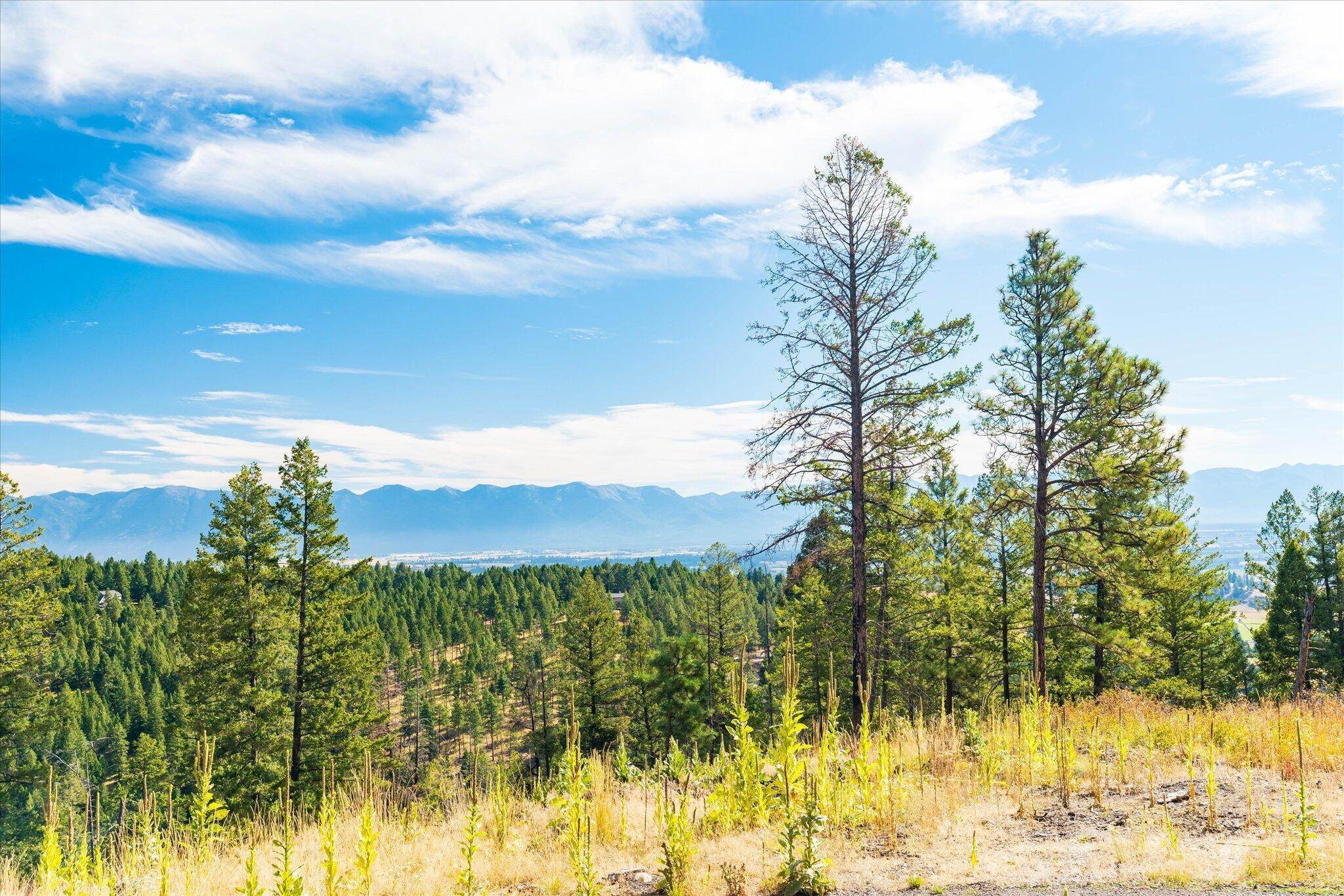 12. Land for Sale at Overlook Ridge, Kalispell, Montana 59901 United States